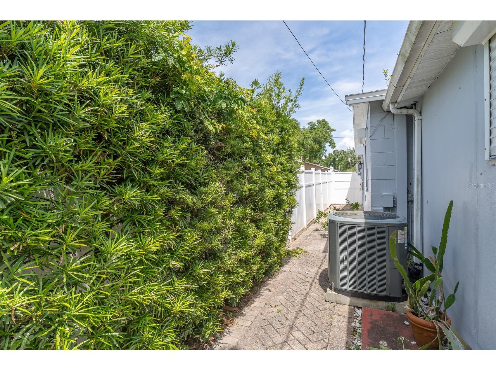 8232 43rd Way N Pinellas Park FL 33781 TB8505730 image20