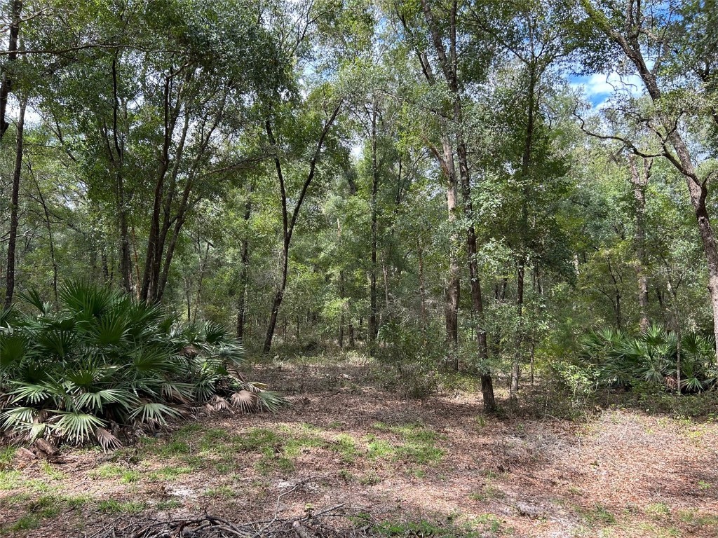 8232 Swan Lake Road Melrose FL 32666 GC525959 image17