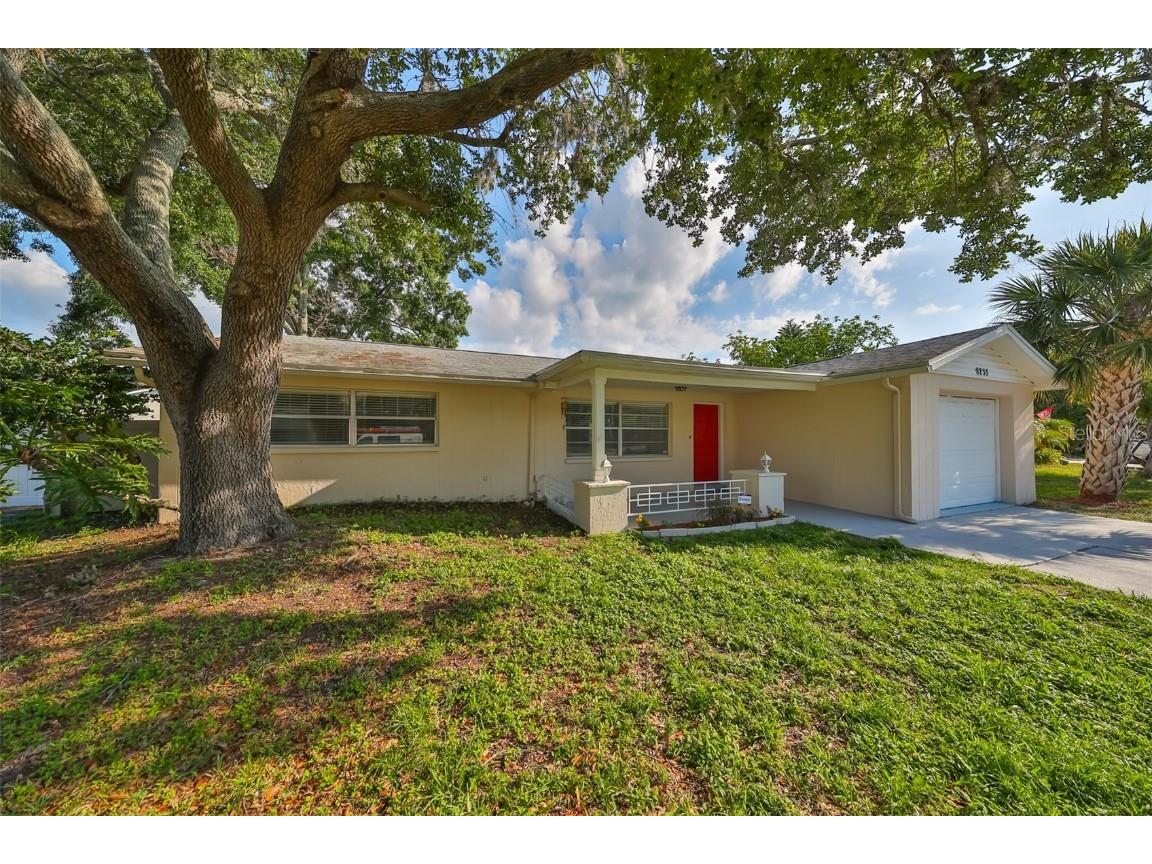 8233 Fishhawk Avenue New Port Richey FL 34653 T3528759 image1