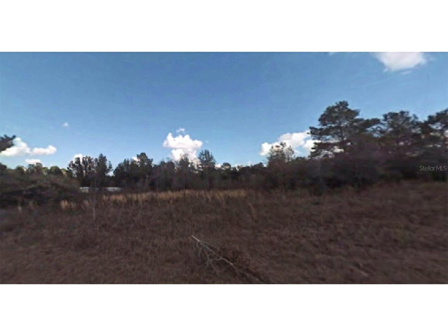 8233 N Lamont Drive Citrus Springs FL 34434 O6118947 image1