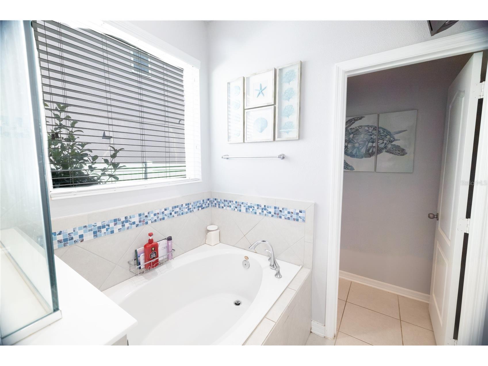 8234 Gray Kingbird Dr Winter Garden FL 34787 O6375730 image20