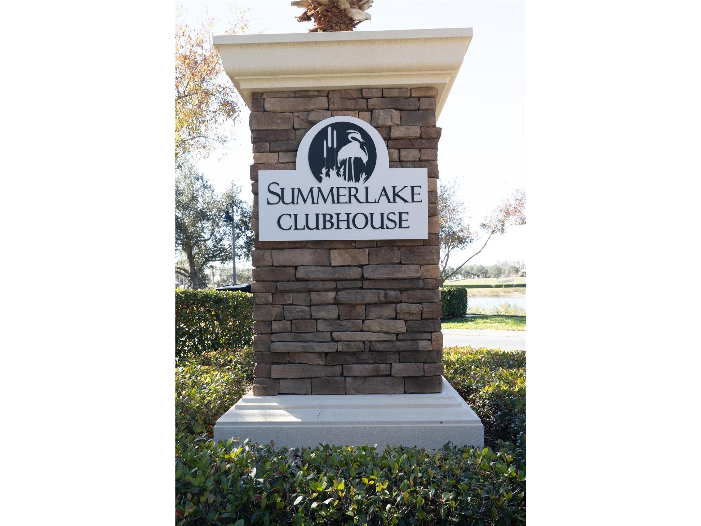 8234 Gray Kingbird Dr Winter Garden FL 34787 O6375730 image35