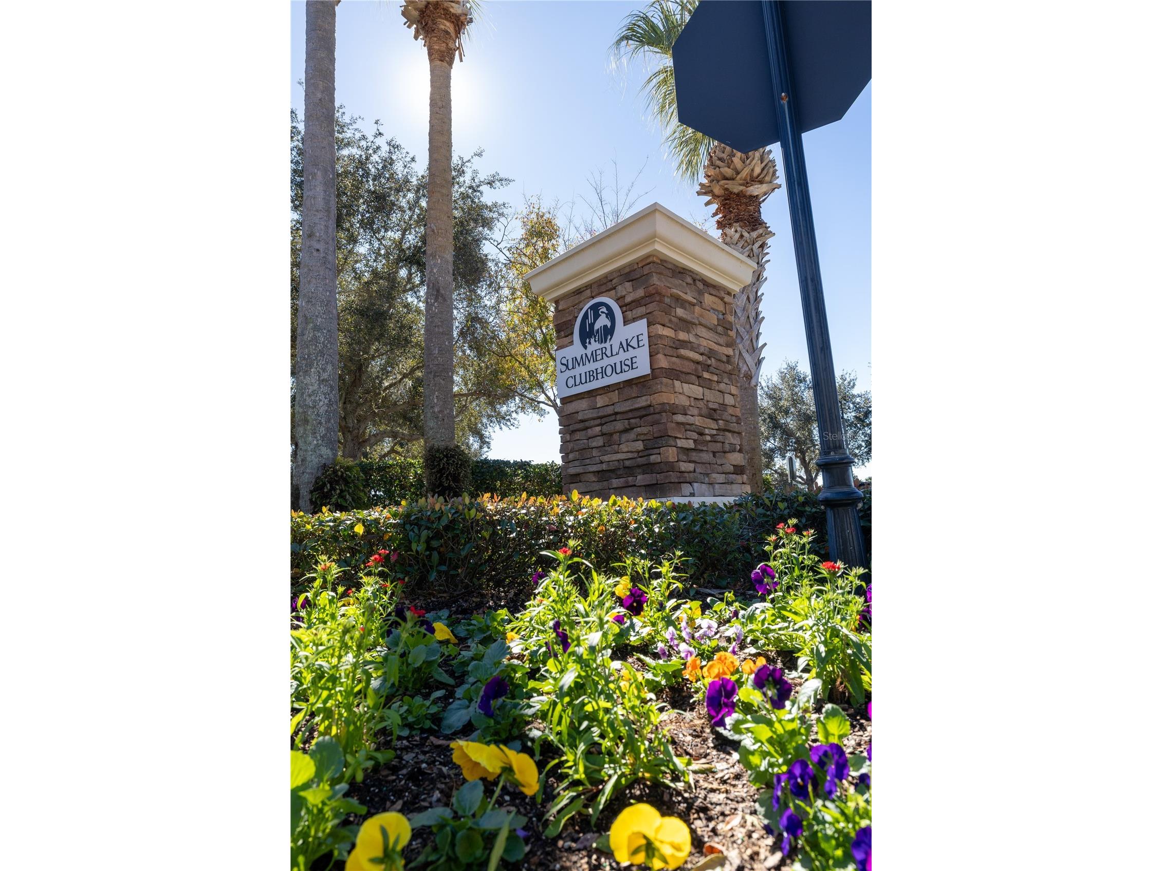 8234 Gray Kingbird Dr Winter Garden FL 34787 O6375730 image36