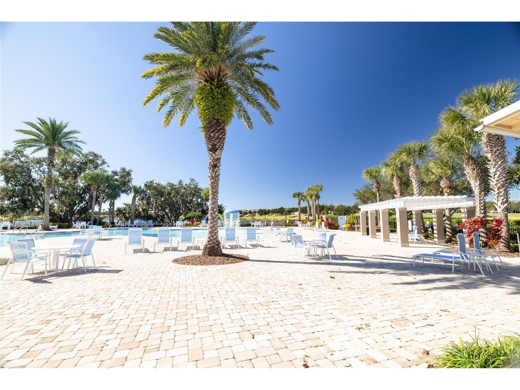 8234 Gray Kingbird Dr Winter Garden FL 34787 O6375730 image46