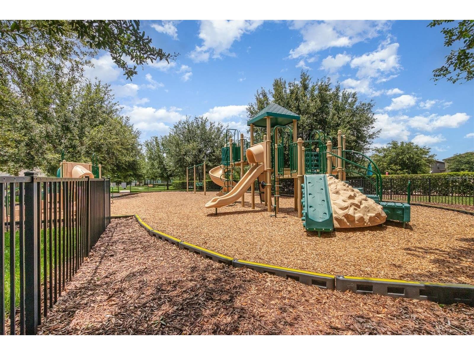 8234 Gray Kingbird Dr Winter Garden FL 34787 O6375730 image55