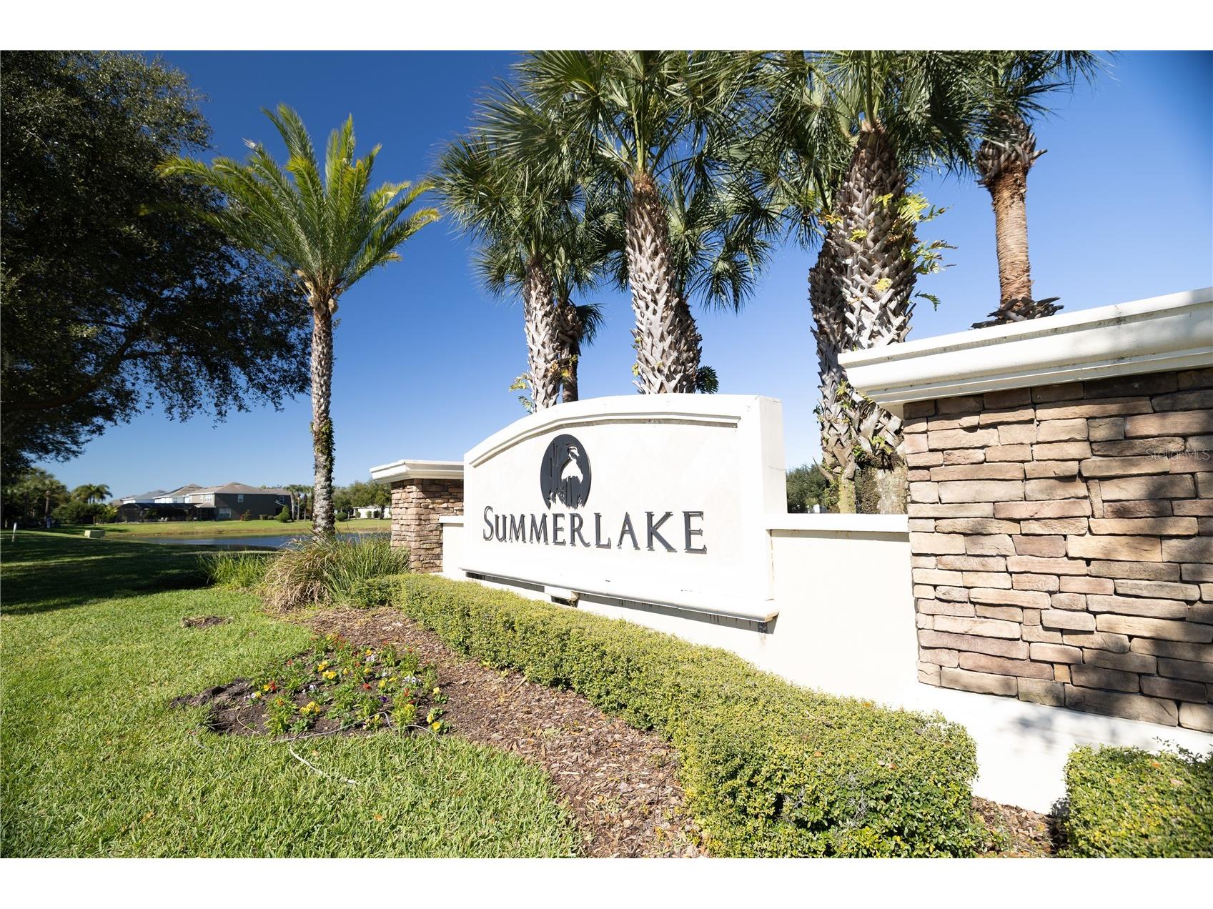 8234 Gray Kingbird Dr Winter Garden FL 34787 O6375730 image57