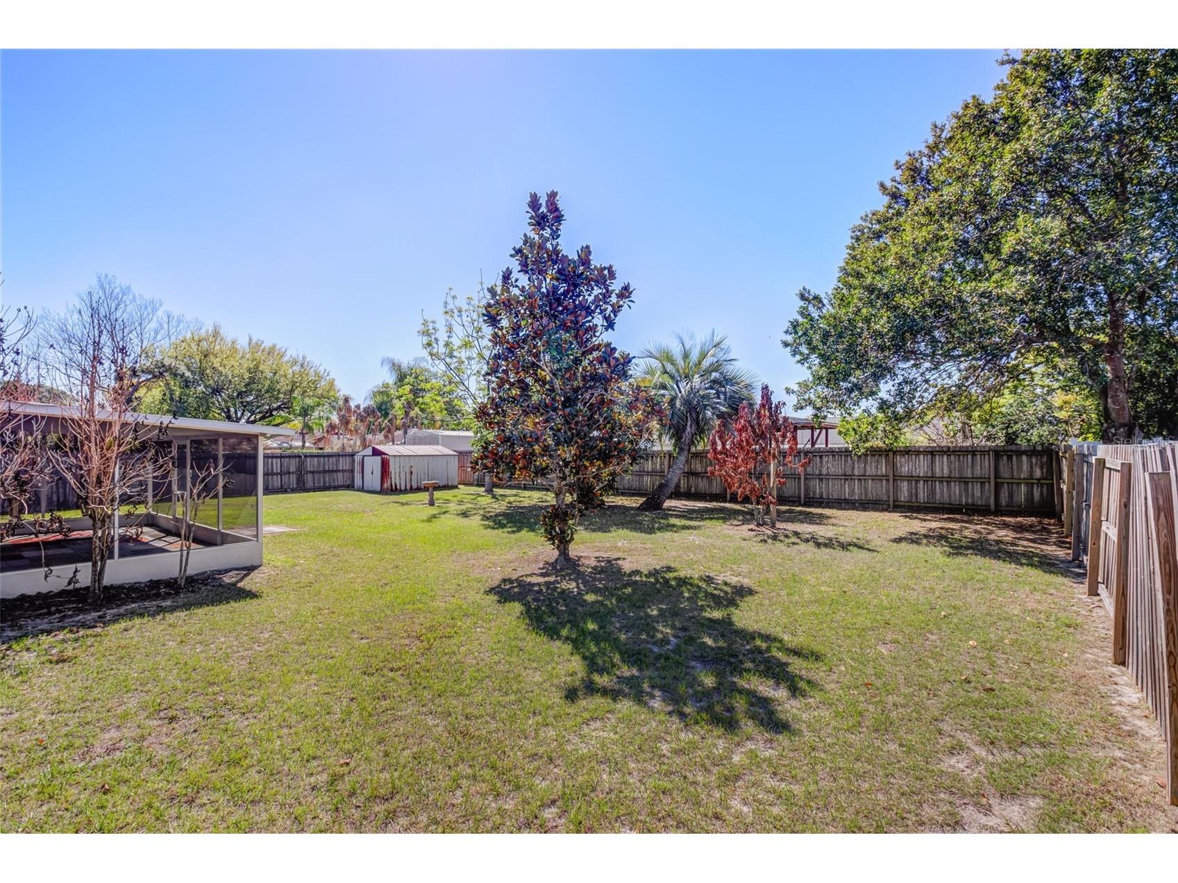 8234 Imber Street Orlando FL 32825 O6393343 image22