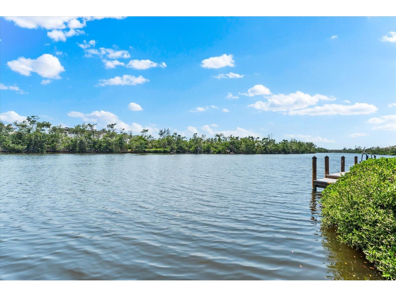 8234 Midnight Pass Road Sarasota FL 34242 - HERON LAGOON A4654399 image70