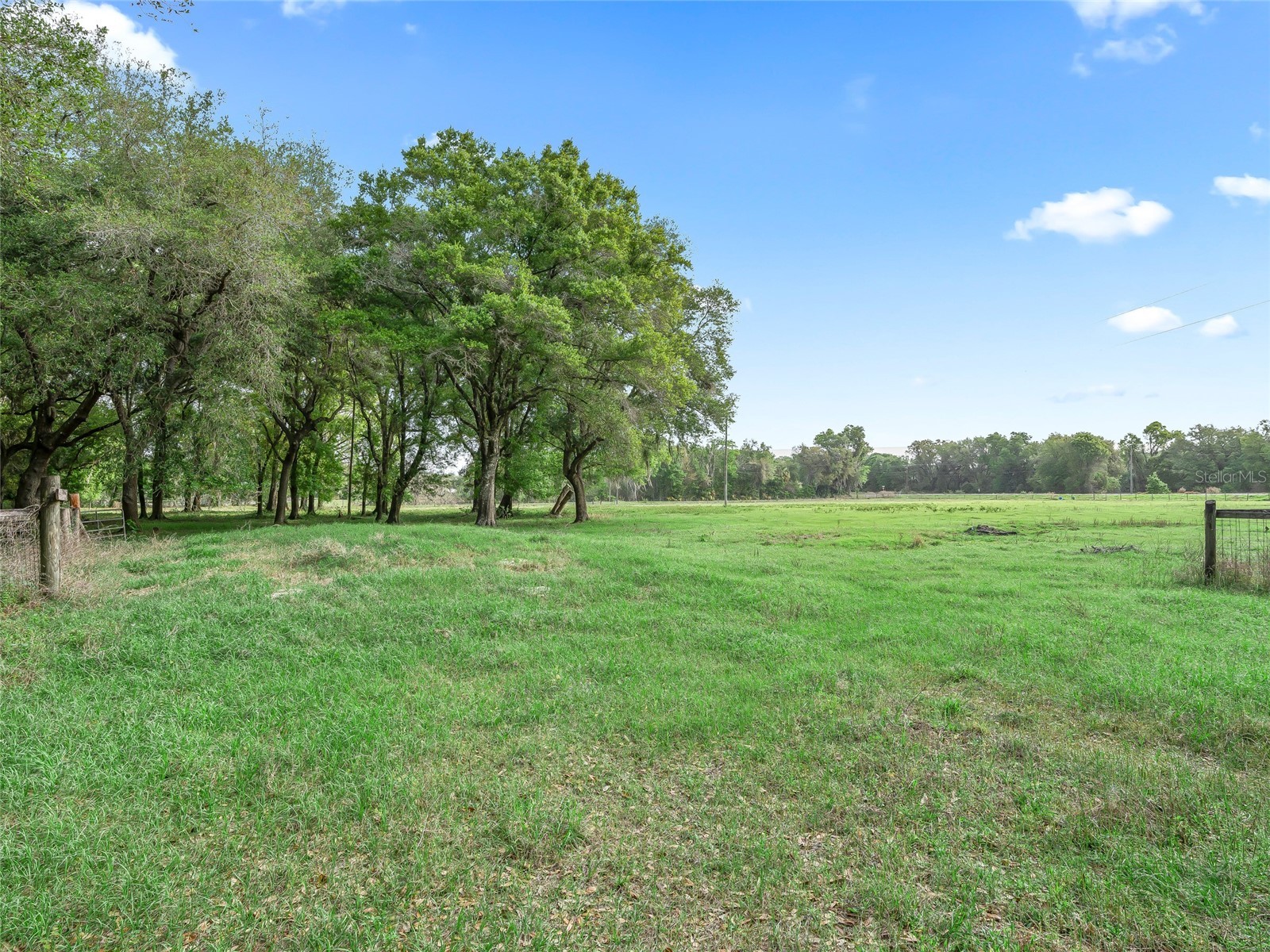 8234 S Us 301 Bushnell FL 33513 G5110149 image35