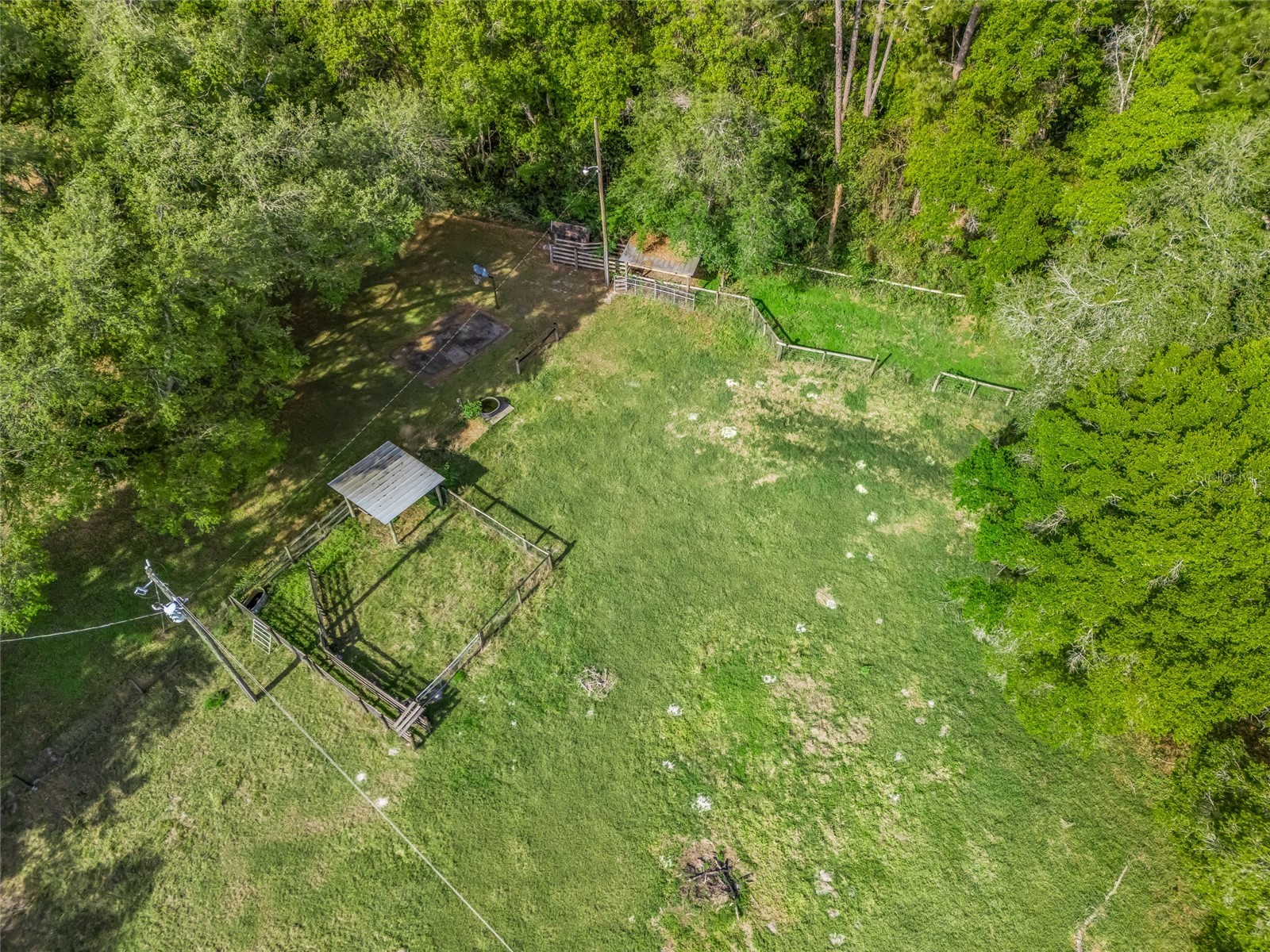 8234 S Us 301 Bushnell FL 33513 G5110149 image42