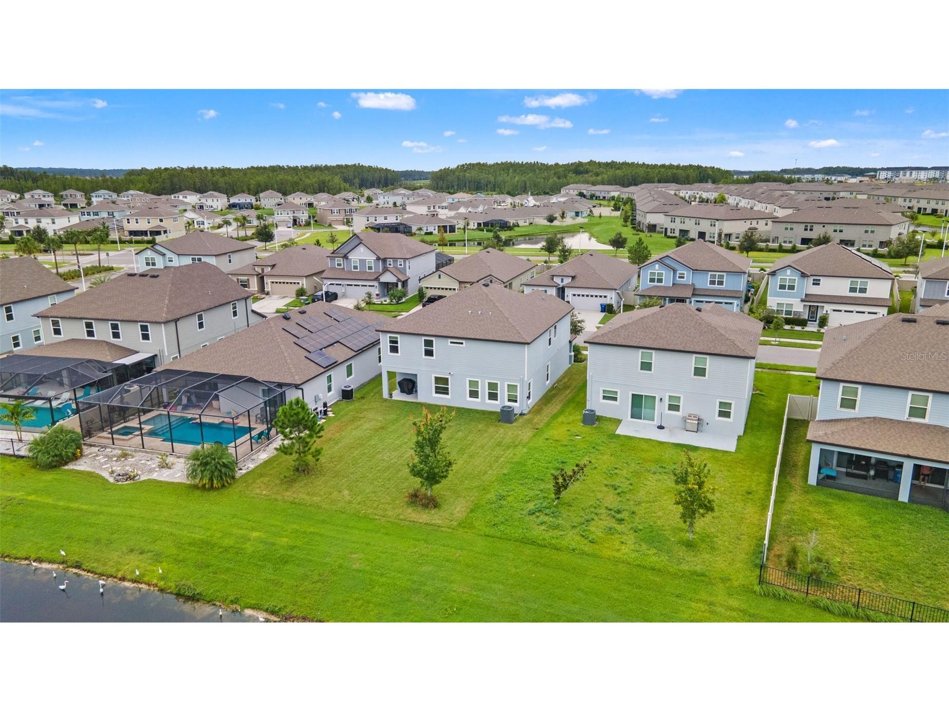 8235 Abby Brooks Circle Wesley Chapel FL 33545 TB8426742 image47