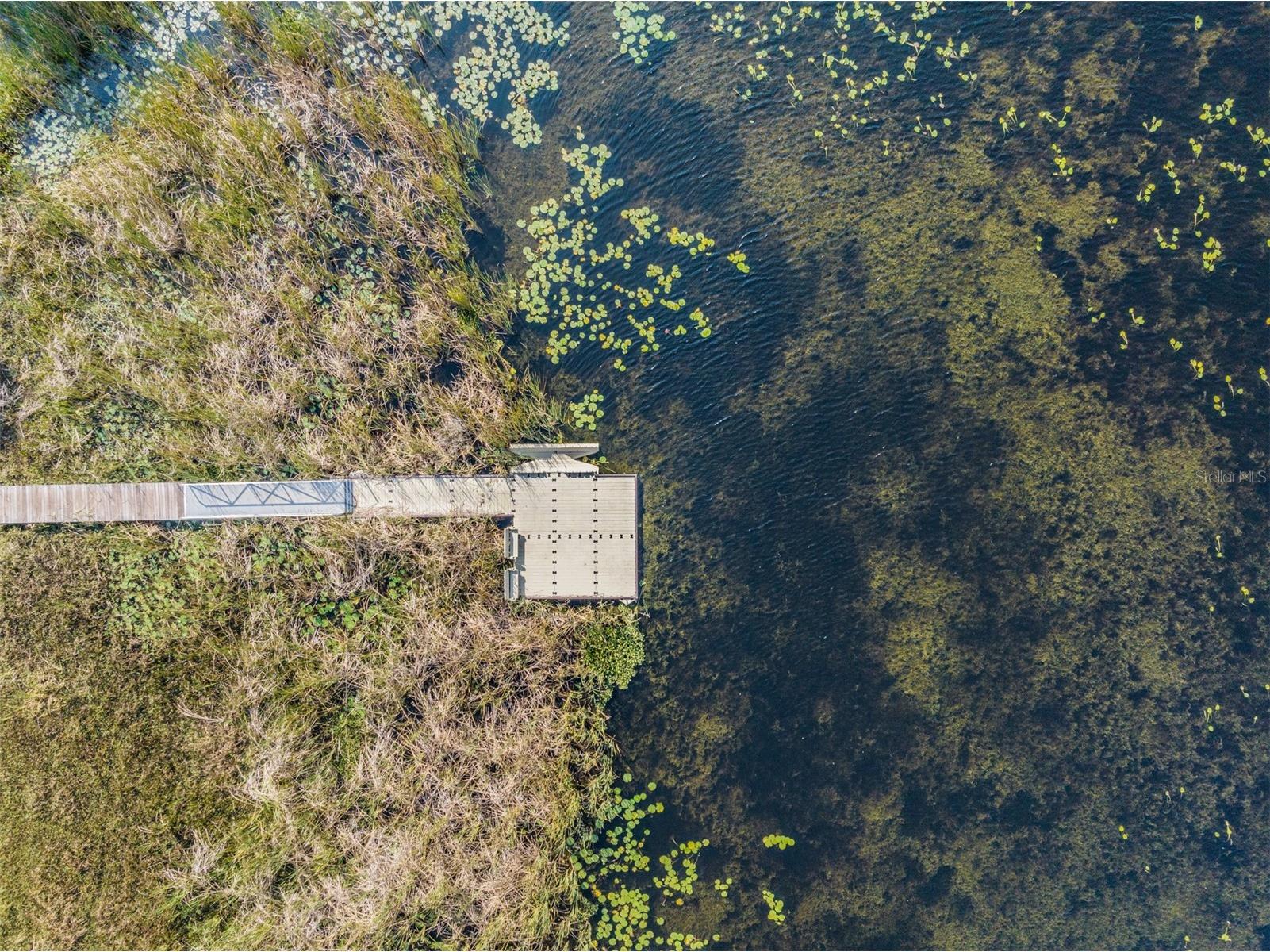 8235 Abby Brooks Circle Wesley Chapel FL 33545 TB8426742 image69