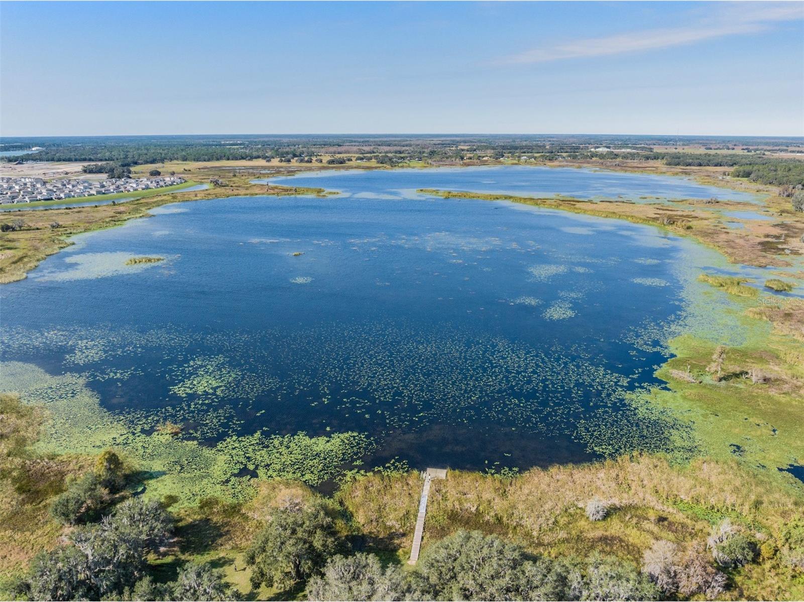 8235 Abby Brooks Circle Wesley Chapel FL 33545 TB8426742 image75