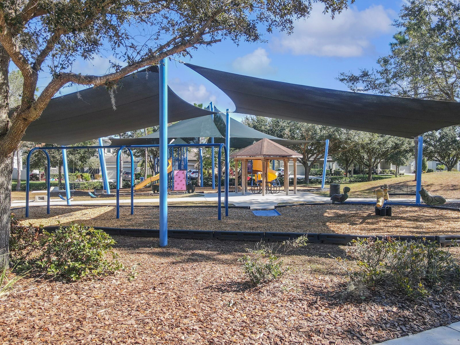 8235 Bird Whistle Lane Land O Lakes FL 34637 O6373637 image50