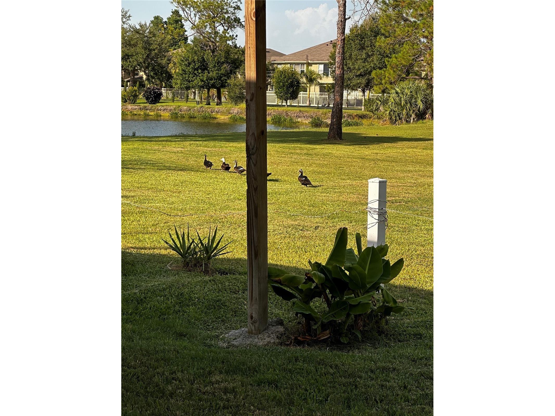 8235 Burgundy Drive N #3 Pinellas Park FL 33781 TB8527969 image40