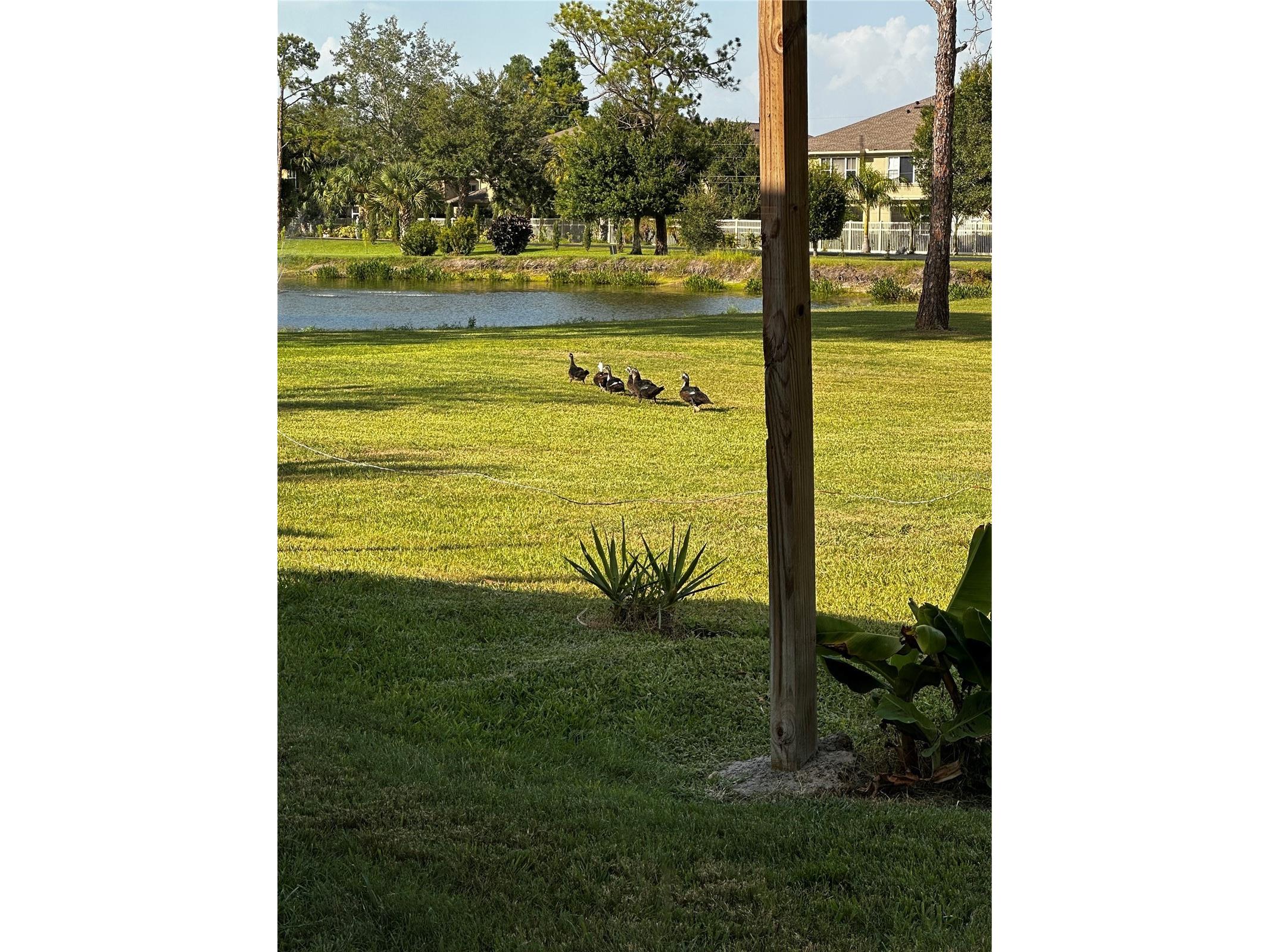 8235 Burgundy Drive N #3 Pinellas Park FL 33781 TB8527969 image41