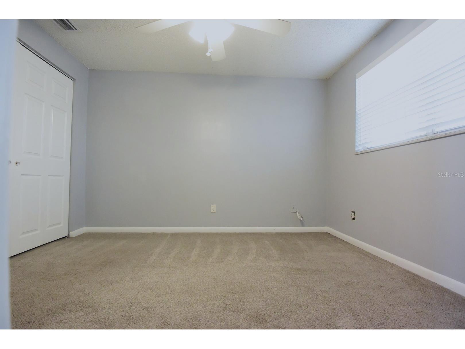 8235 Donaldson Drive Tampa FL 33615 W7887125 image19