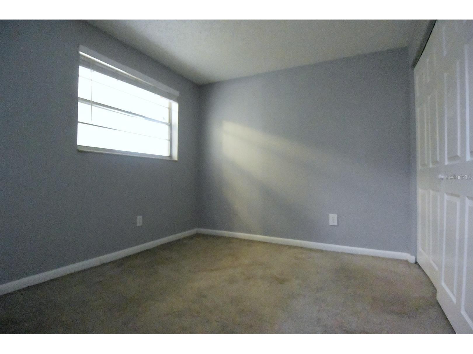 8235 Donaldson Drive Tampa FL 33615 W7887125 image22