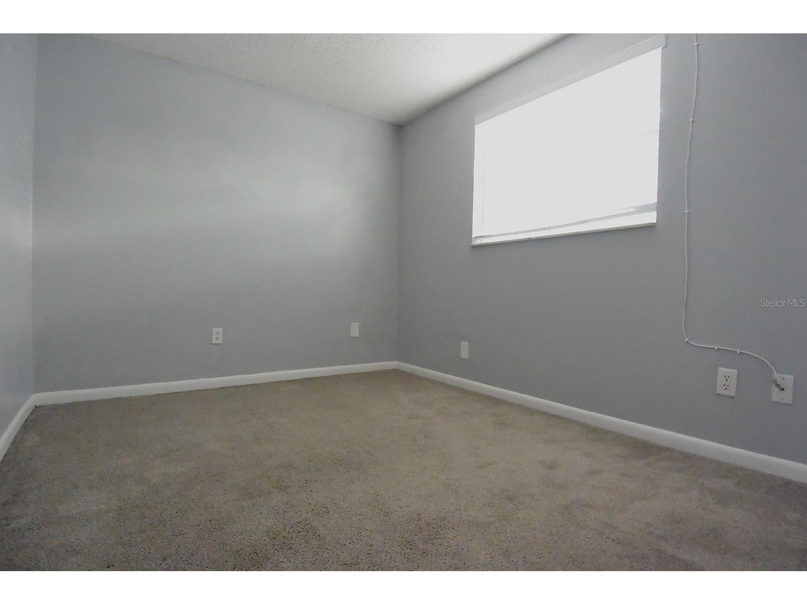 8235 Donaldson Drive Tampa FL 33615 W7887125 image27