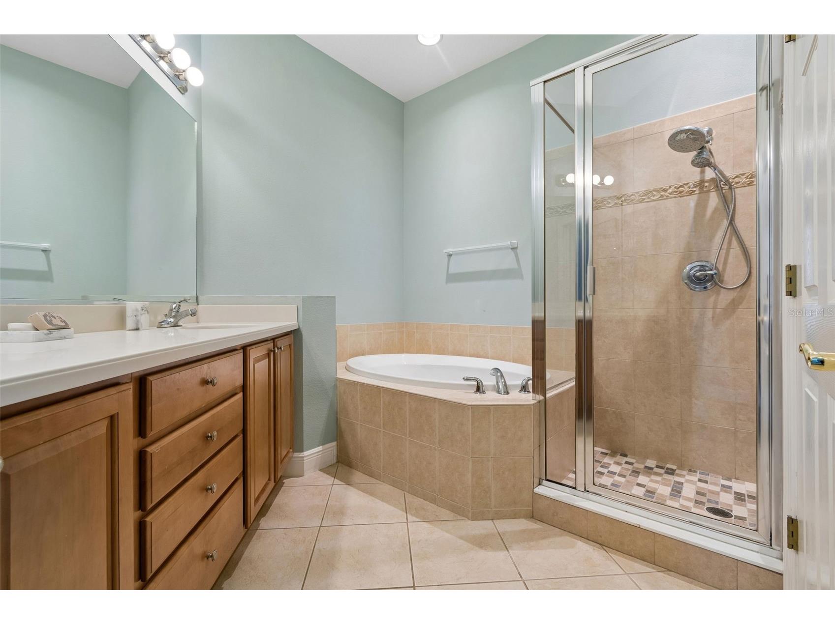 8235 Miramar Way Lakewood Ranch FL 34202 A4684561 image27