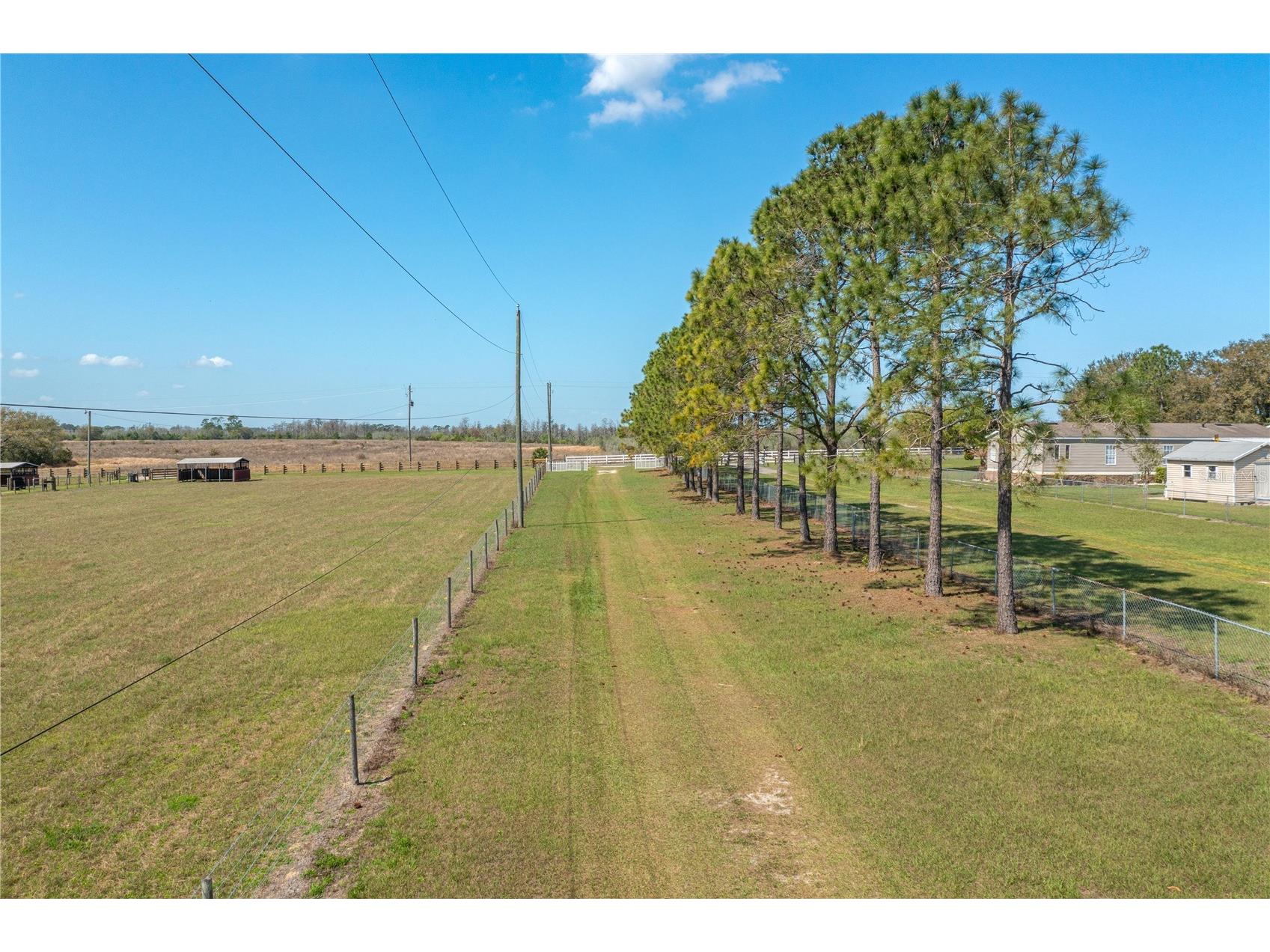 8236 Lake Lowery Road Haines City FL 33844 P4938065 image38