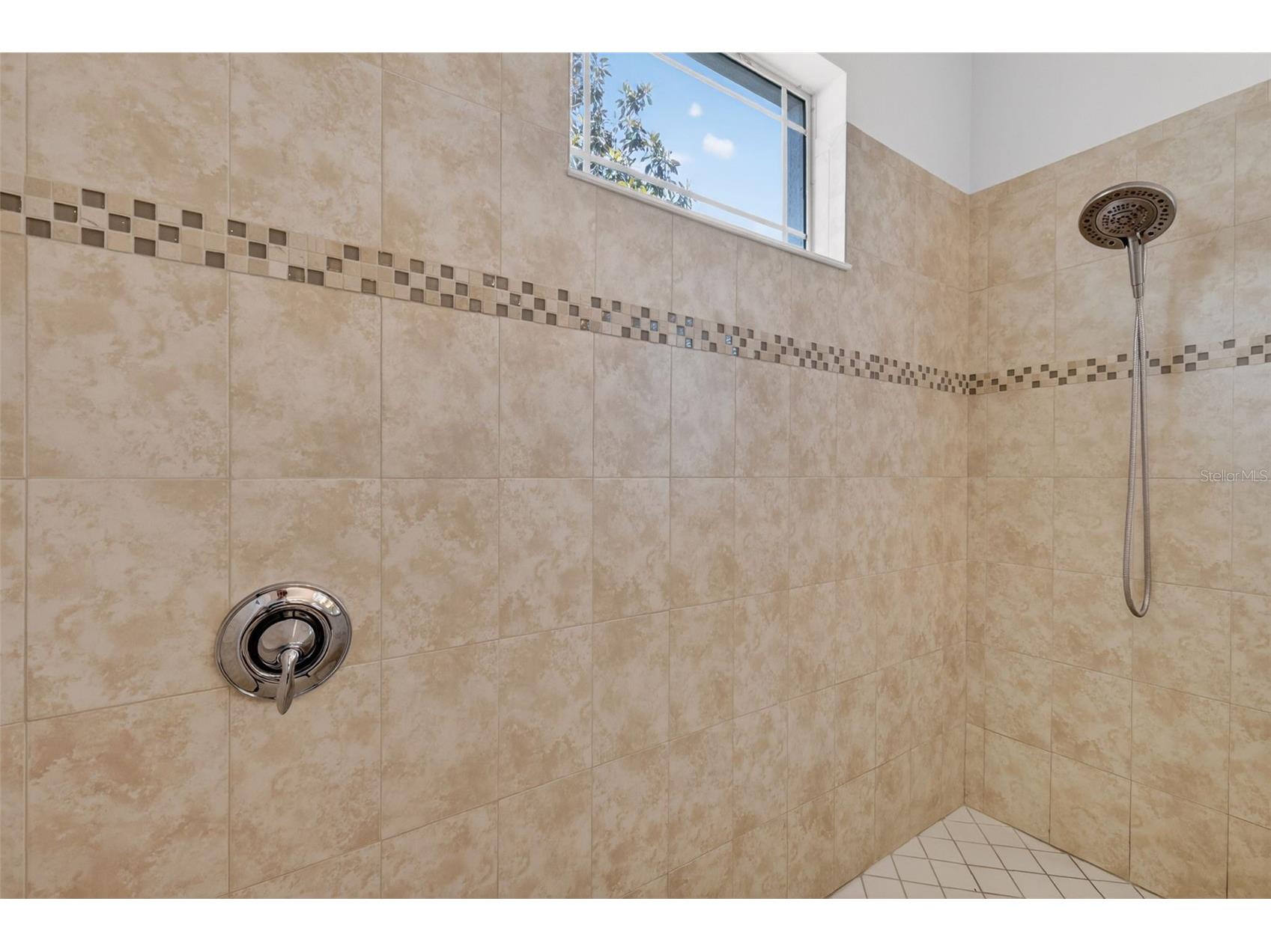 8237 Bridgeport Bay Circle Mount Dora FL 32757 G5112496 image33
