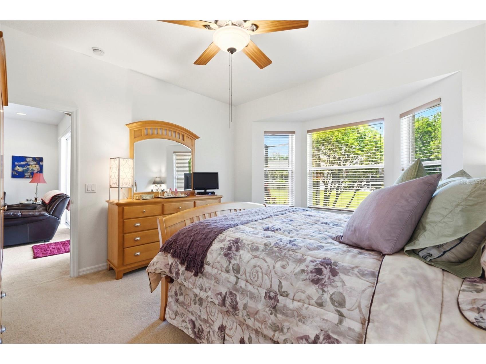 8237 Fallglo Lane Land O Lakes FL 34637 TB8519397 image25