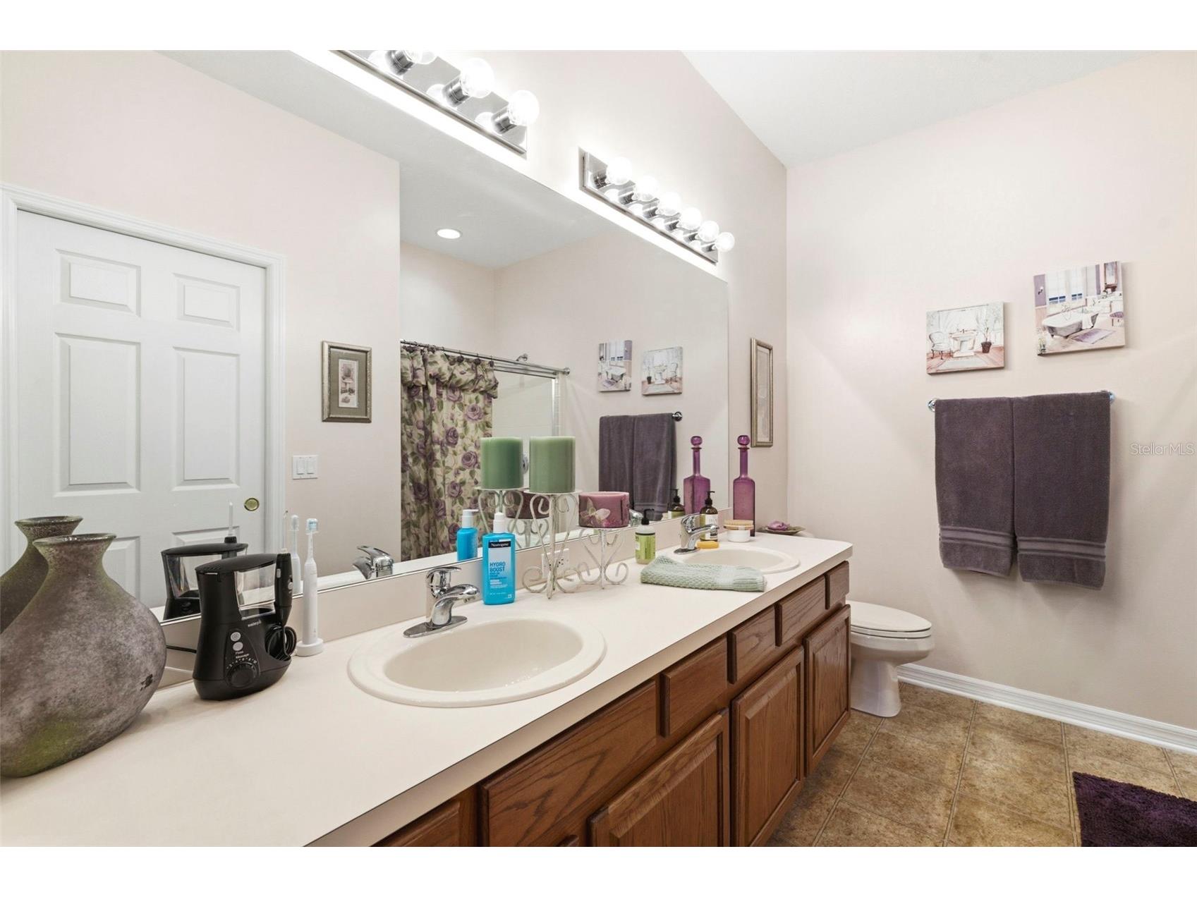 8237 Fallglo Lane Land O Lakes FL 34637 TB8519397 image29