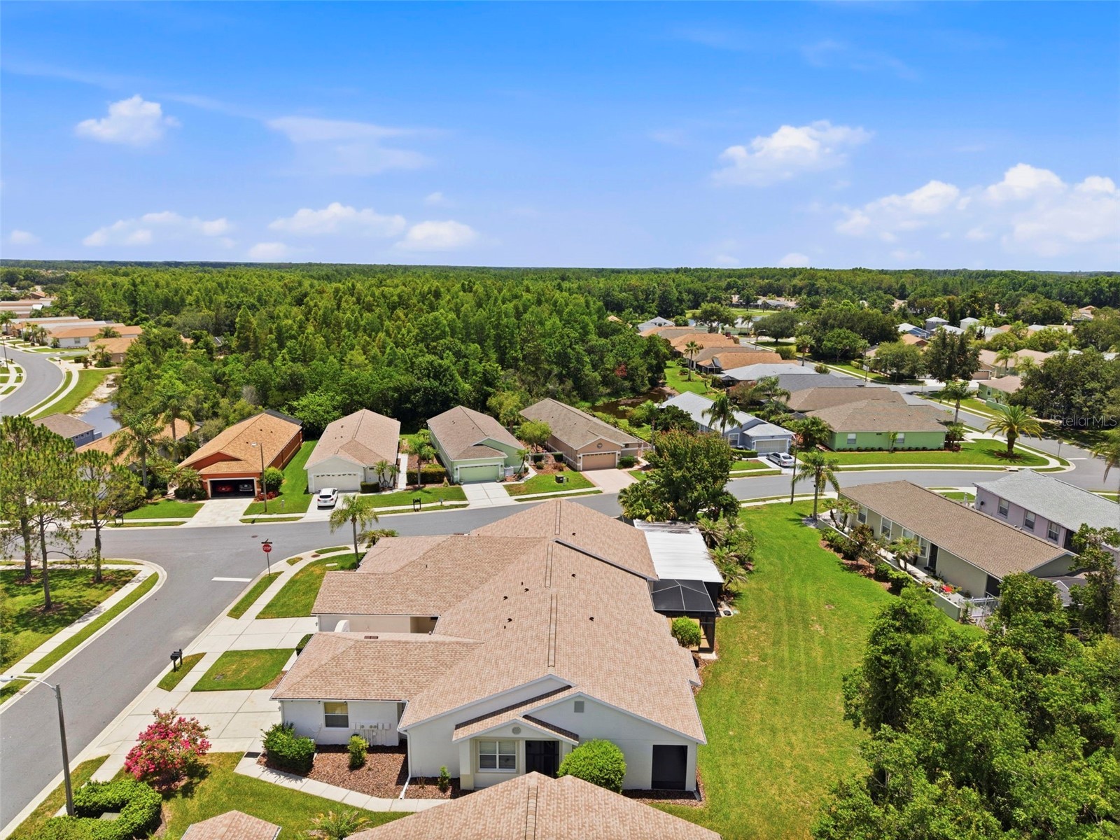 8237 Fallglo Lane Land O Lakes FL 34637 TB8519397 image49