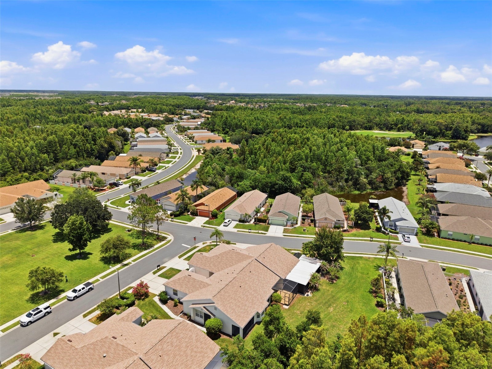 8237 Fallglo Lane Land O Lakes FL 34637 TB8519397 image53