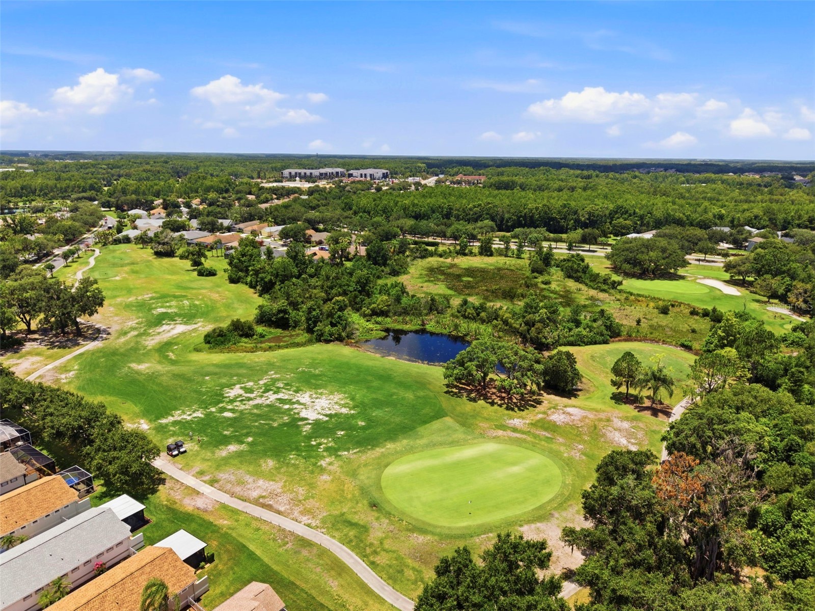8237 Fallglo Lane Land O Lakes FL 34637 TB8519397 image60