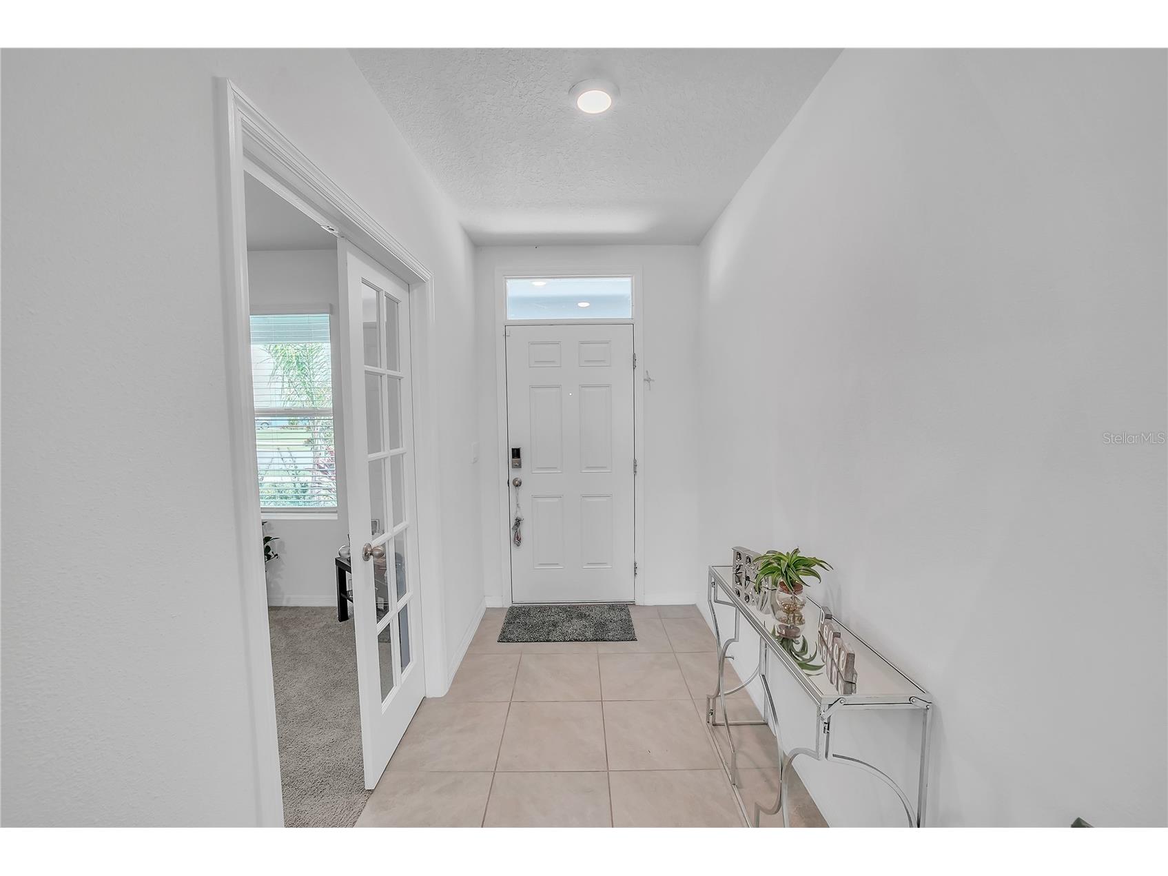 8237 Juning Cove Wesley Chapel FL 33545 TB8418359 image22