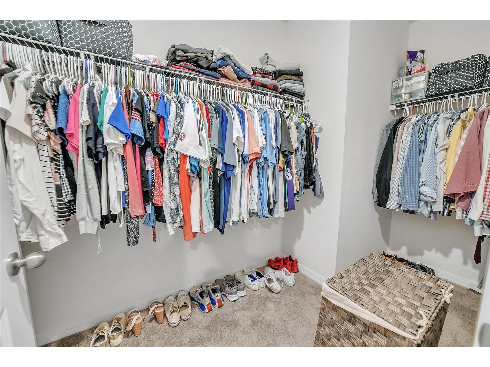 8237 Juning Cove Wesley Chapel FL 33545 TB8418359 image37