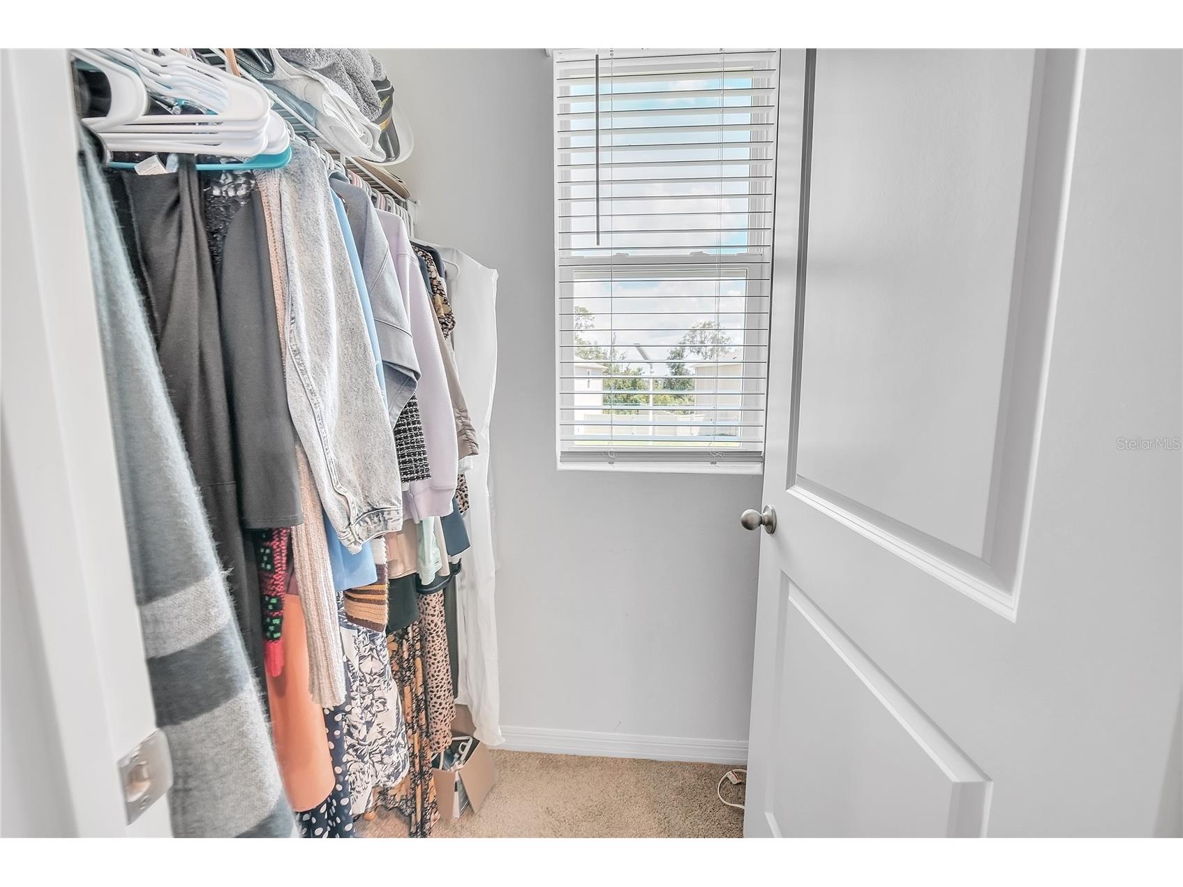 8237 Juning Cove Wesley Chapel FL 33545 TB8418359 image38