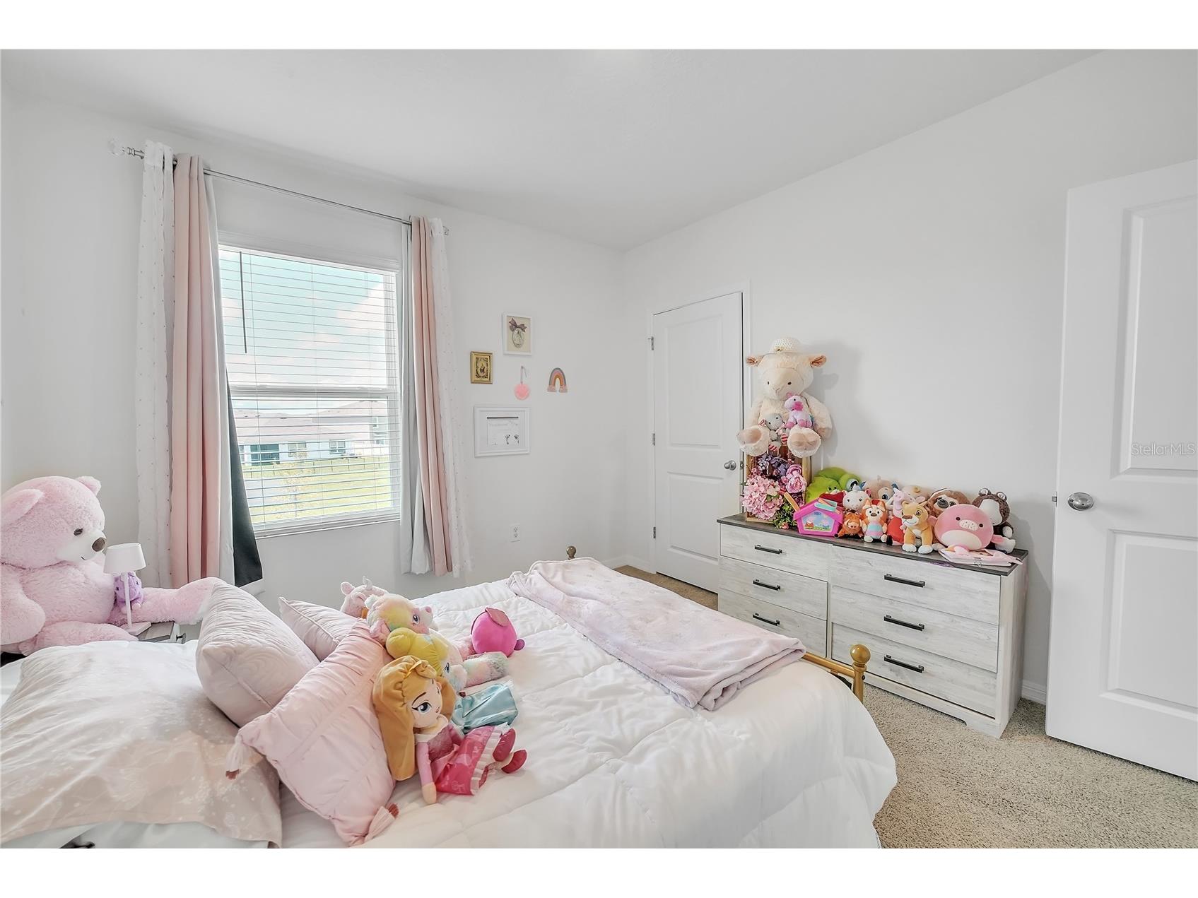 8237 Juning Cove Wesley Chapel FL 33545 TB8418359 image39