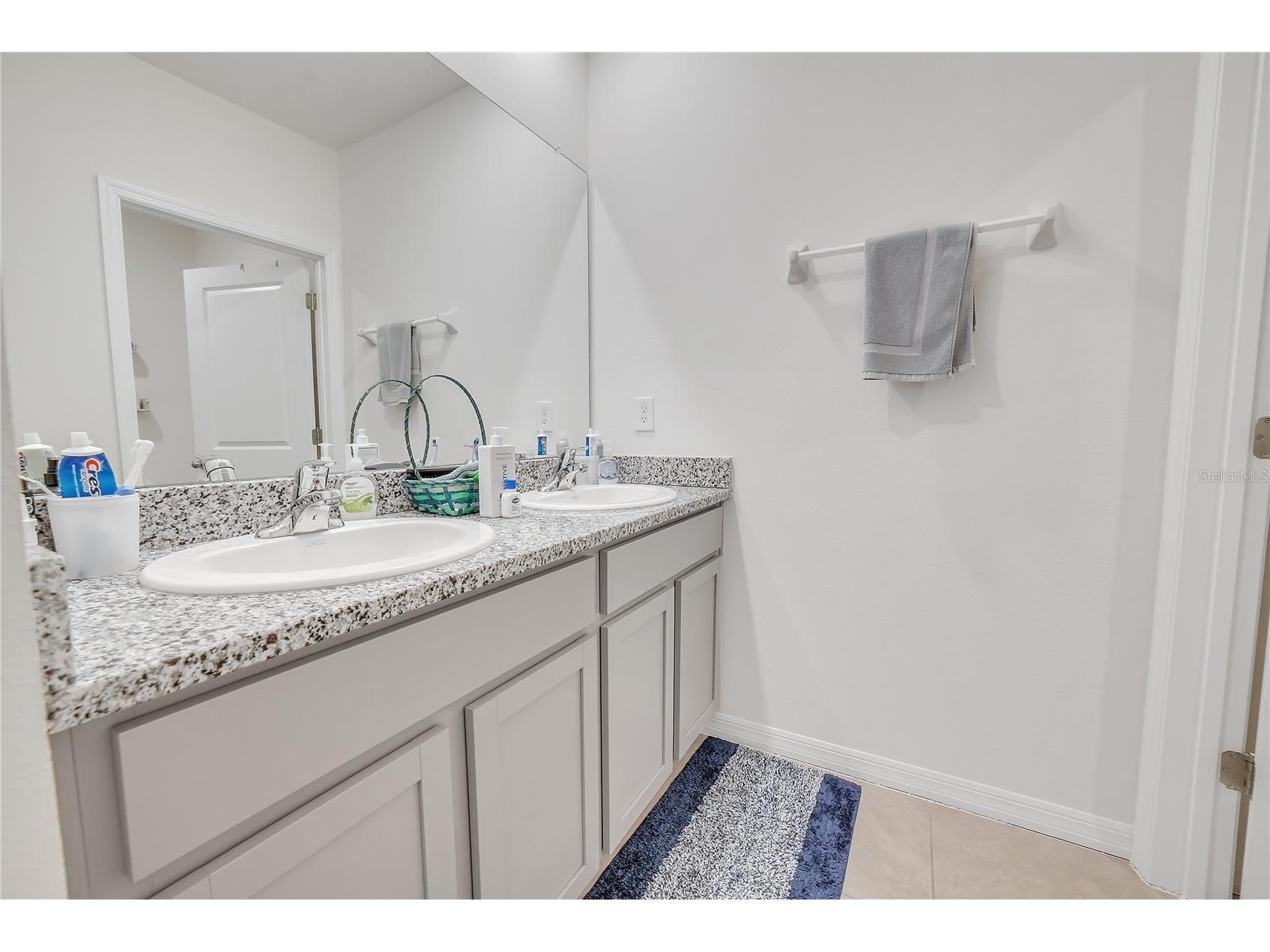 8237 Juning Cove Wesley Chapel FL 33545 TB8418359 image47