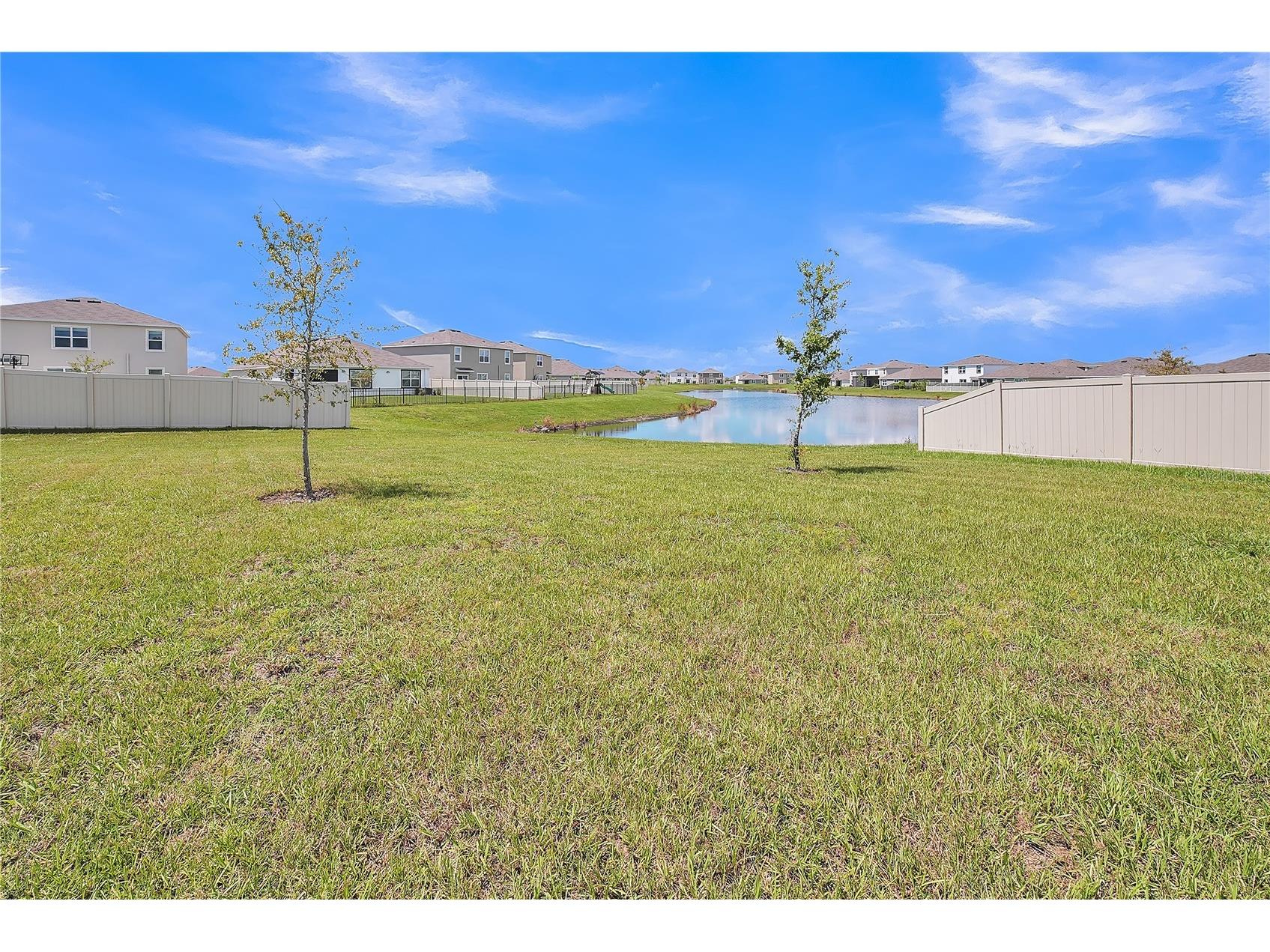 8237 Juning Cove Wesley Chapel FL 33545 TB8418359 image53