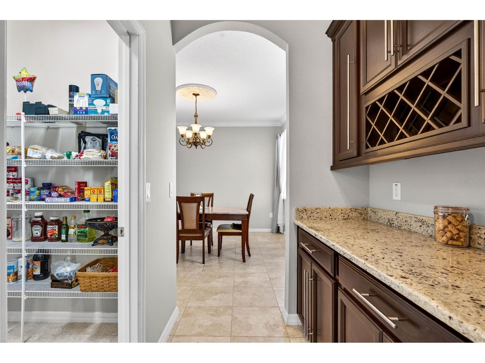 8238 Willow Beach Drive Riverview FL 33578 TB8486959 image11