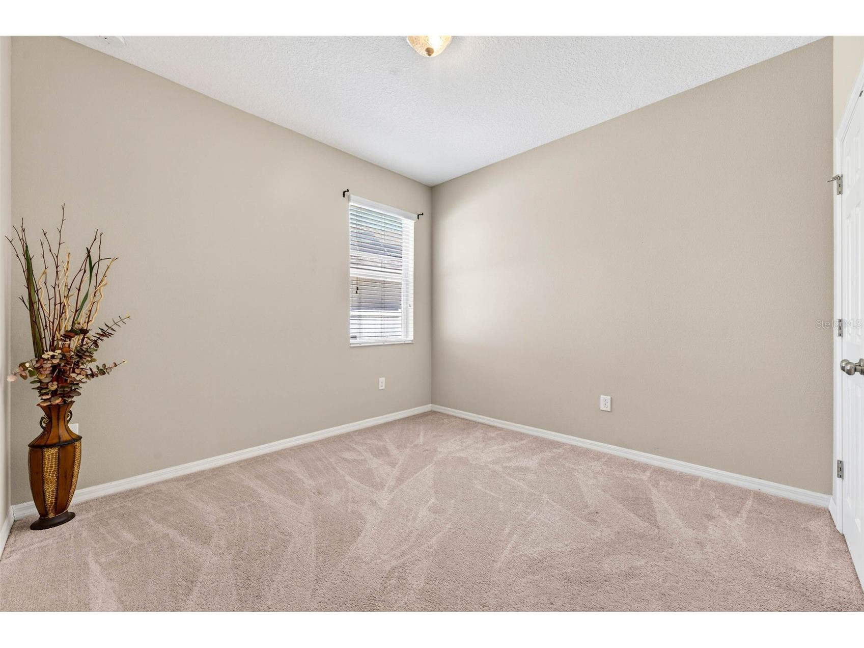 8238 Willow Beach Drive Riverview FL 33578 TB8486959 image17