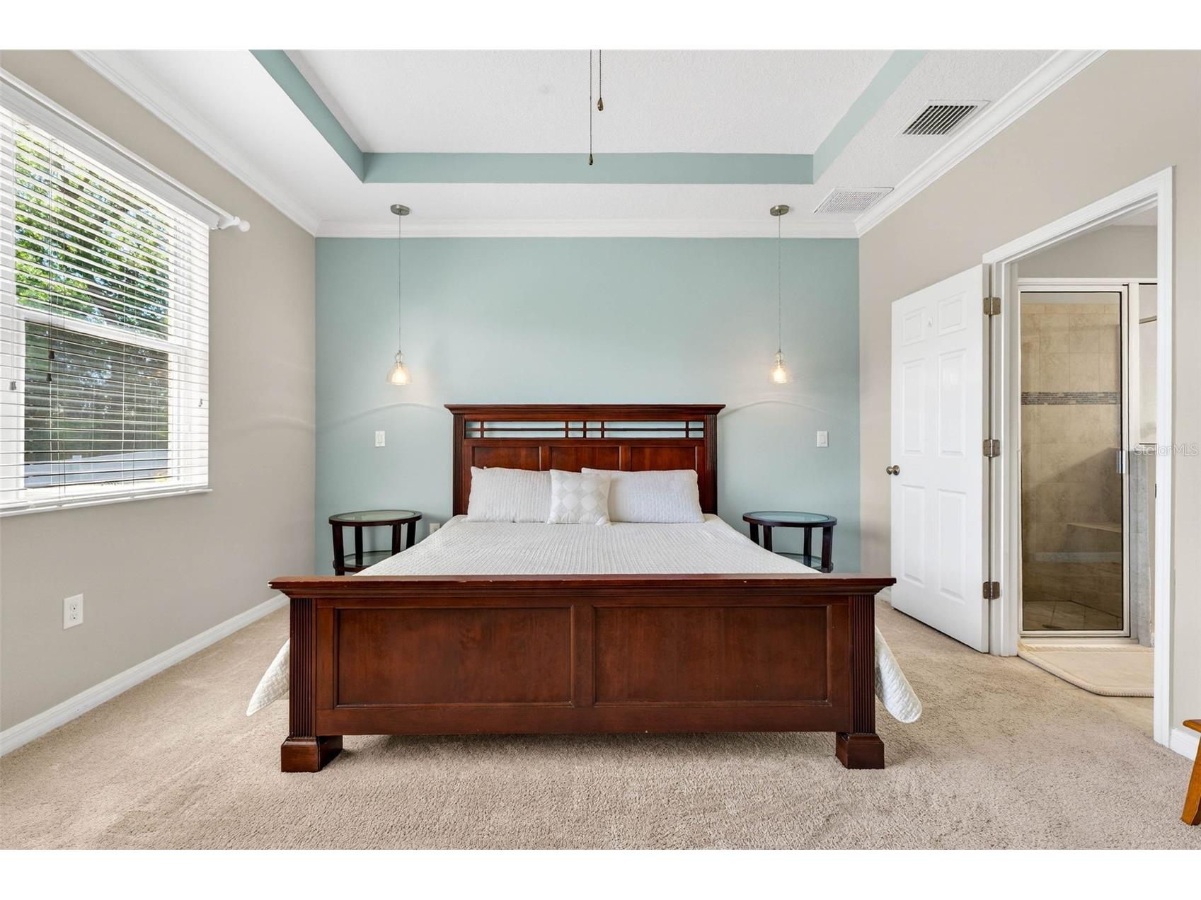 8238 Willow Beach Drive Riverview FL 33578 TB8486959 image23