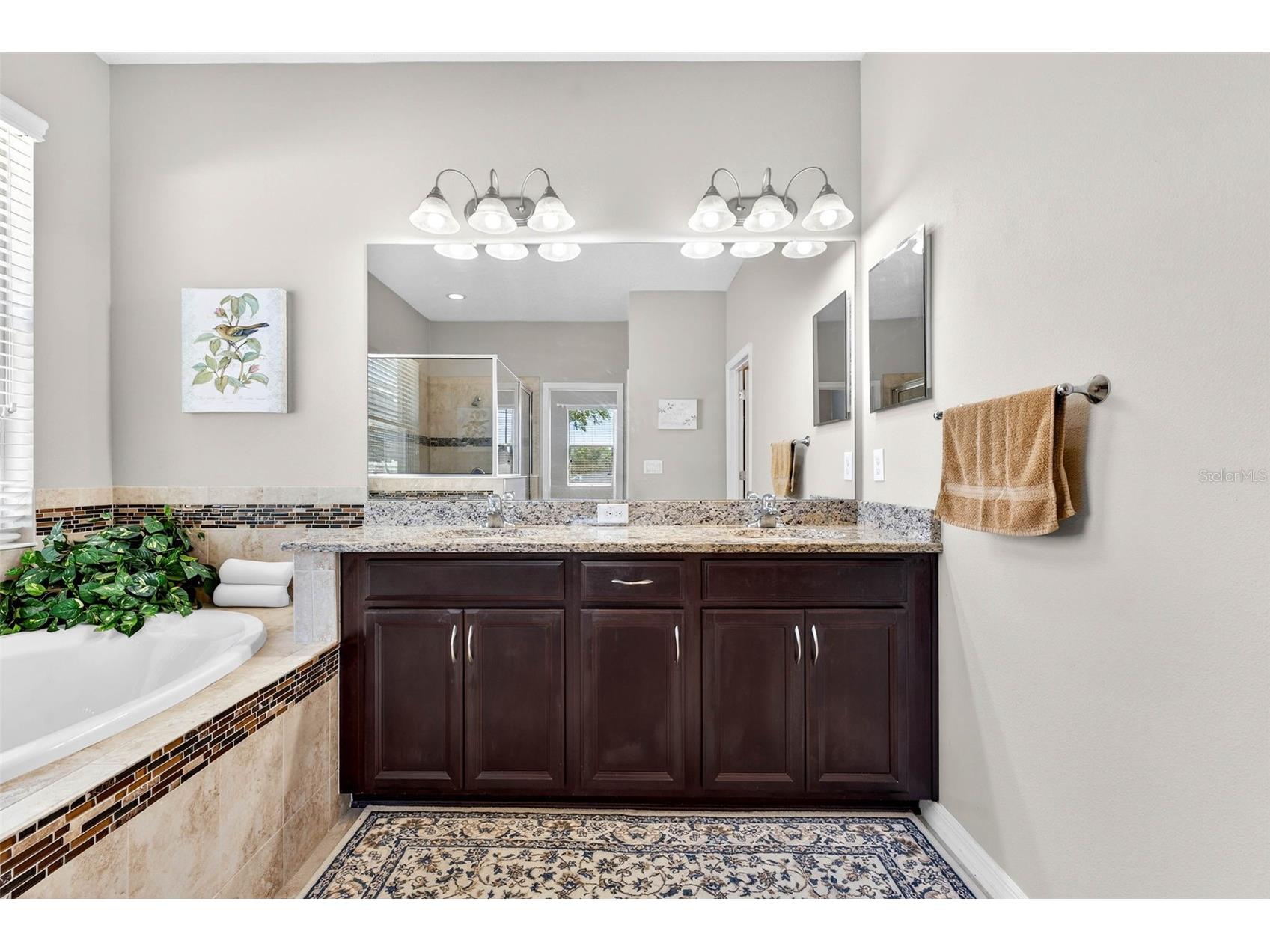 8238 Willow Beach Drive Riverview FL 33578 TB8486959 image26