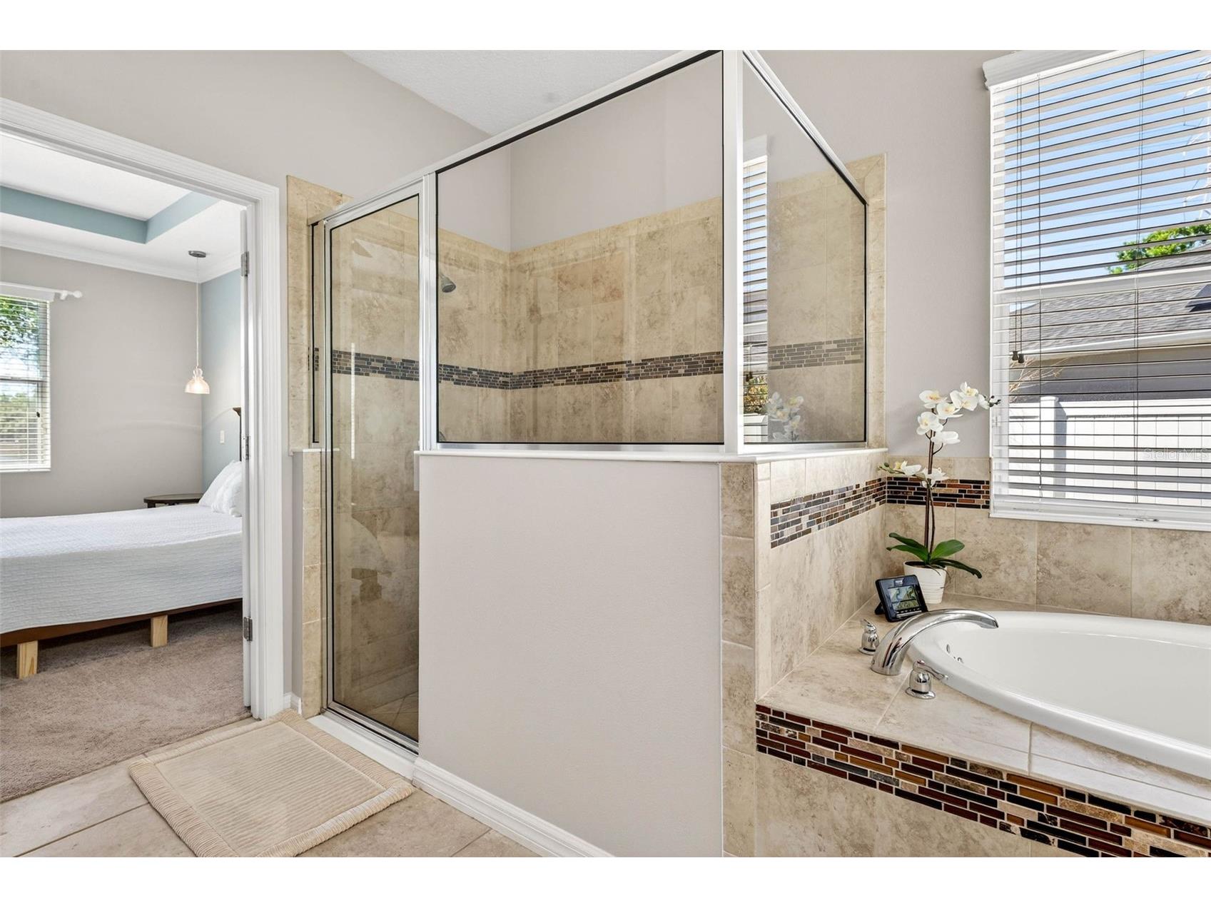 8238 Willow Beach Drive Riverview FL 33578 TB8486959 image27