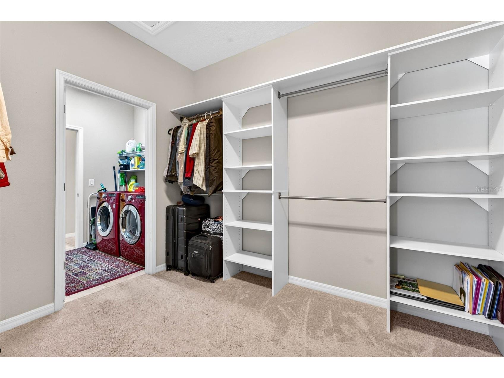 8238 Willow Beach Drive Riverview FL 33578 TB8486959 image28