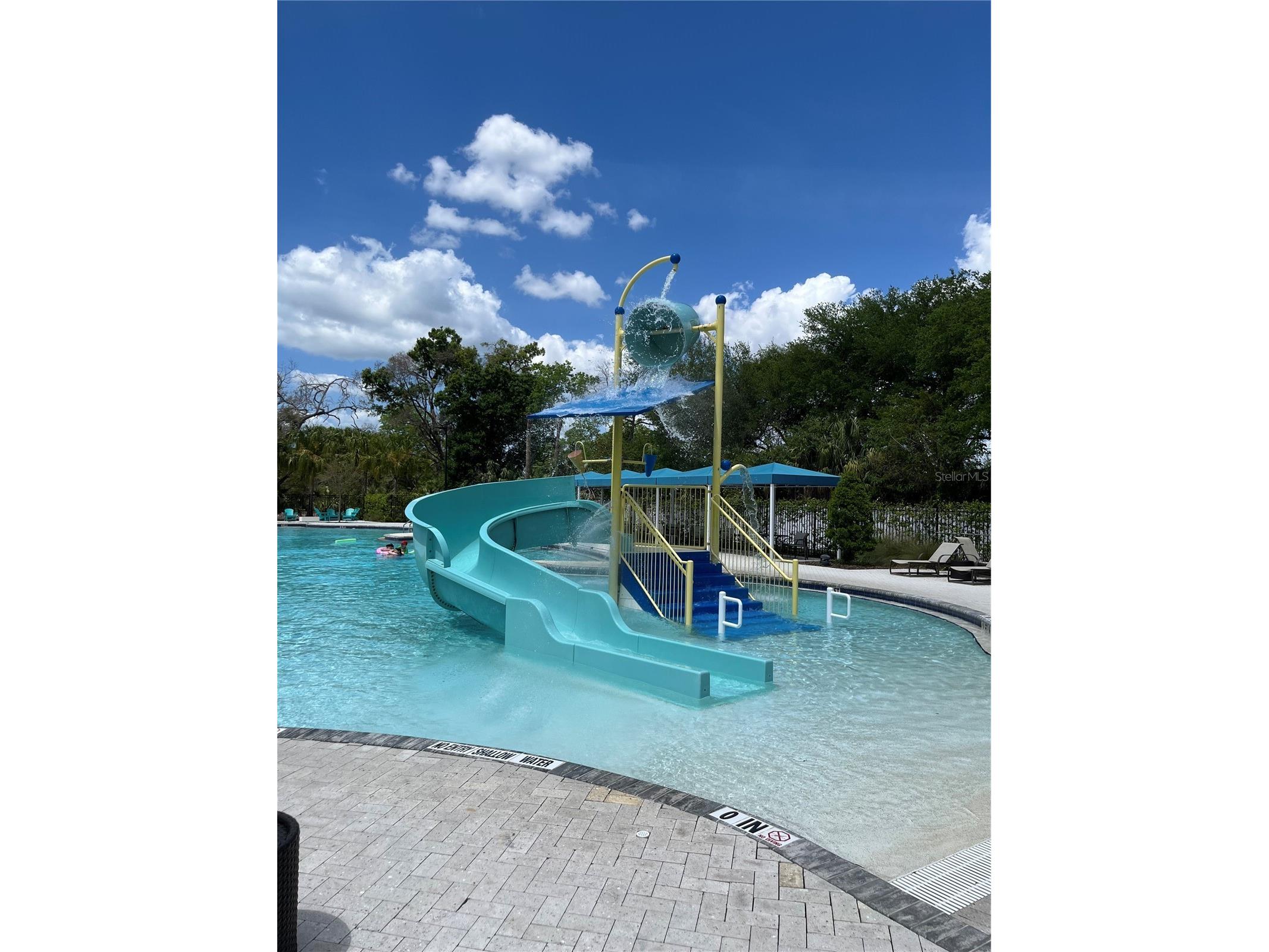 8238 Willow Beach Drive Riverview FL 33578 TB8486959 image45