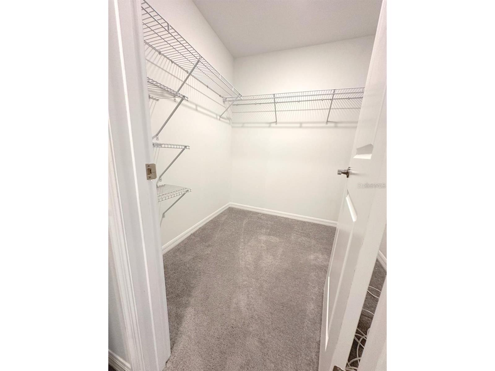 8239 Crescent Oaks Drive New Port Richey FL 34655 TB8512583 image19