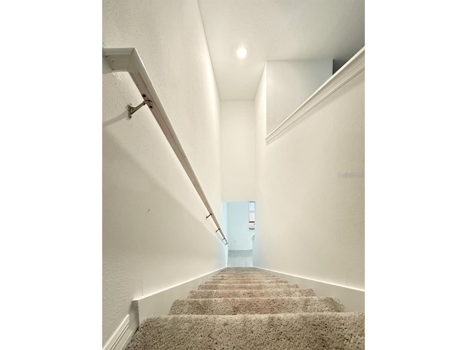 8239 Crescent Oaks Drive New Port Richey FL 34655 TB8512583 image21