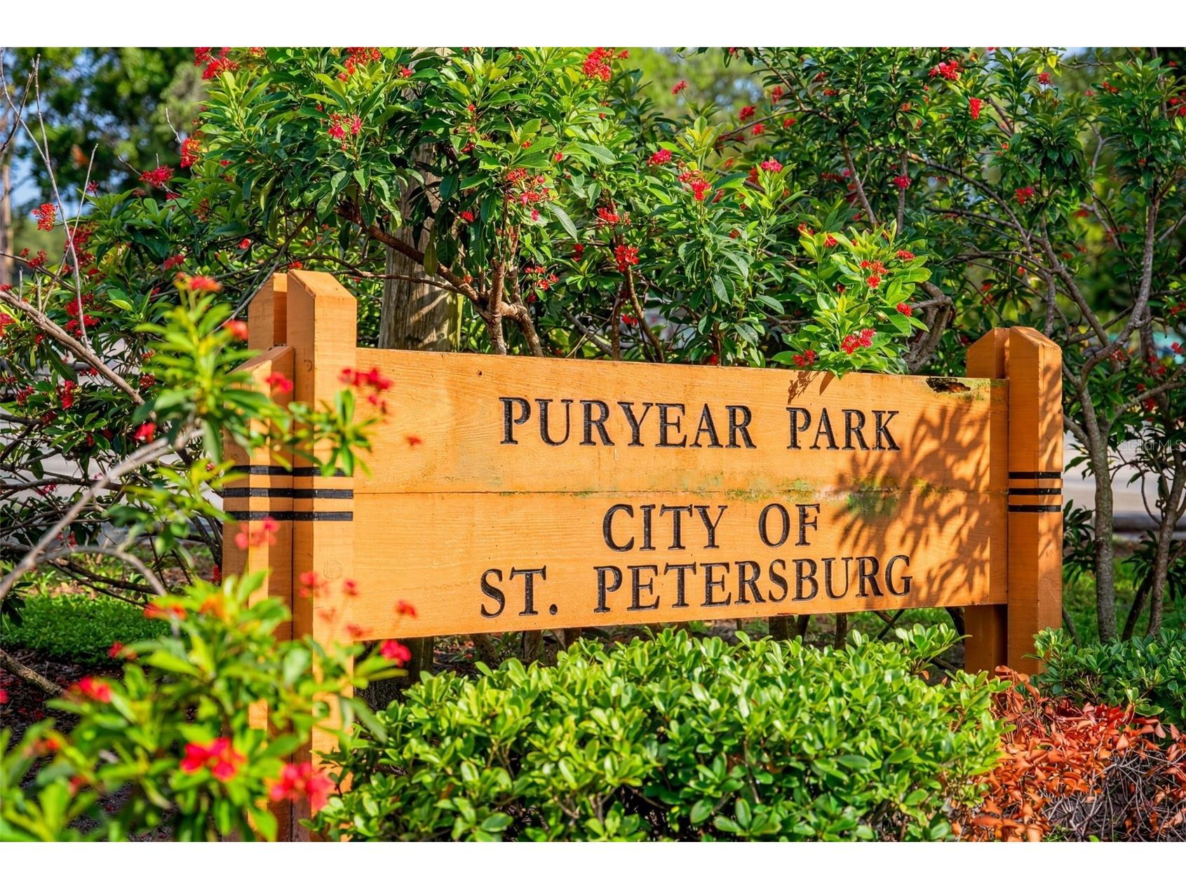 824 59th Ave Ne Saint Petersburg FL 33703 TB8514317 image47