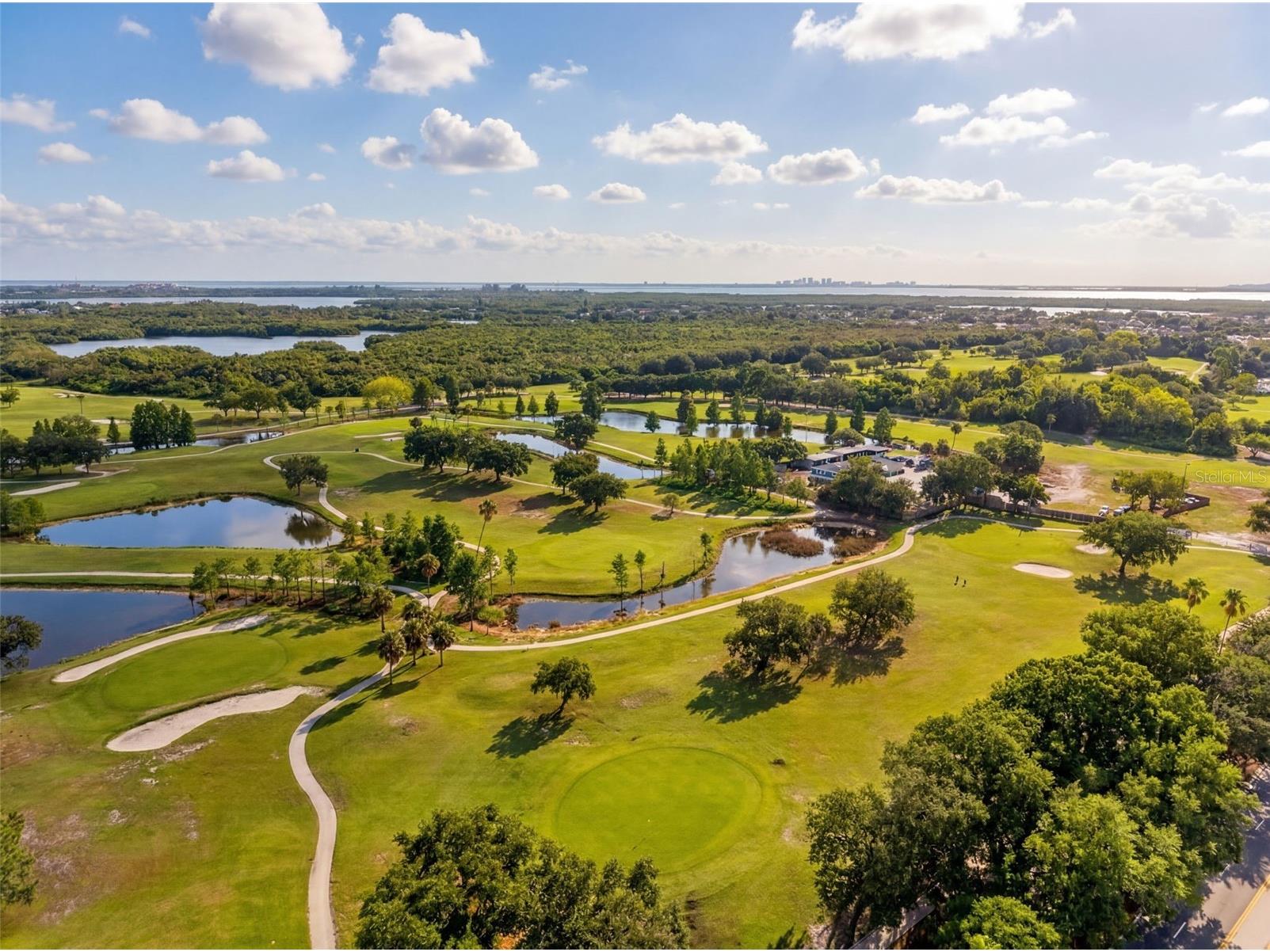 824 59th Ave Ne Saint Petersburg FL 33703 TB8514317 image55