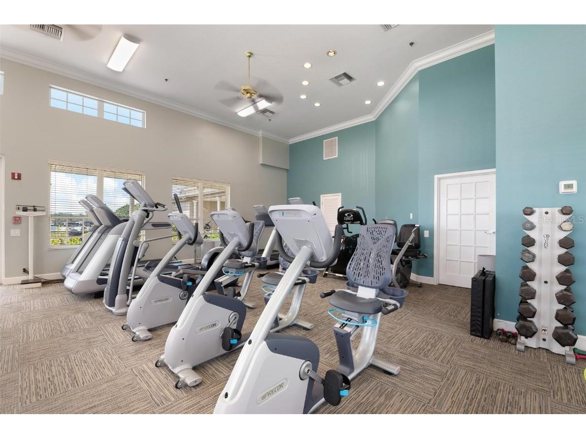 824 Adonis Place Venice FL 34292 N6141685 image66