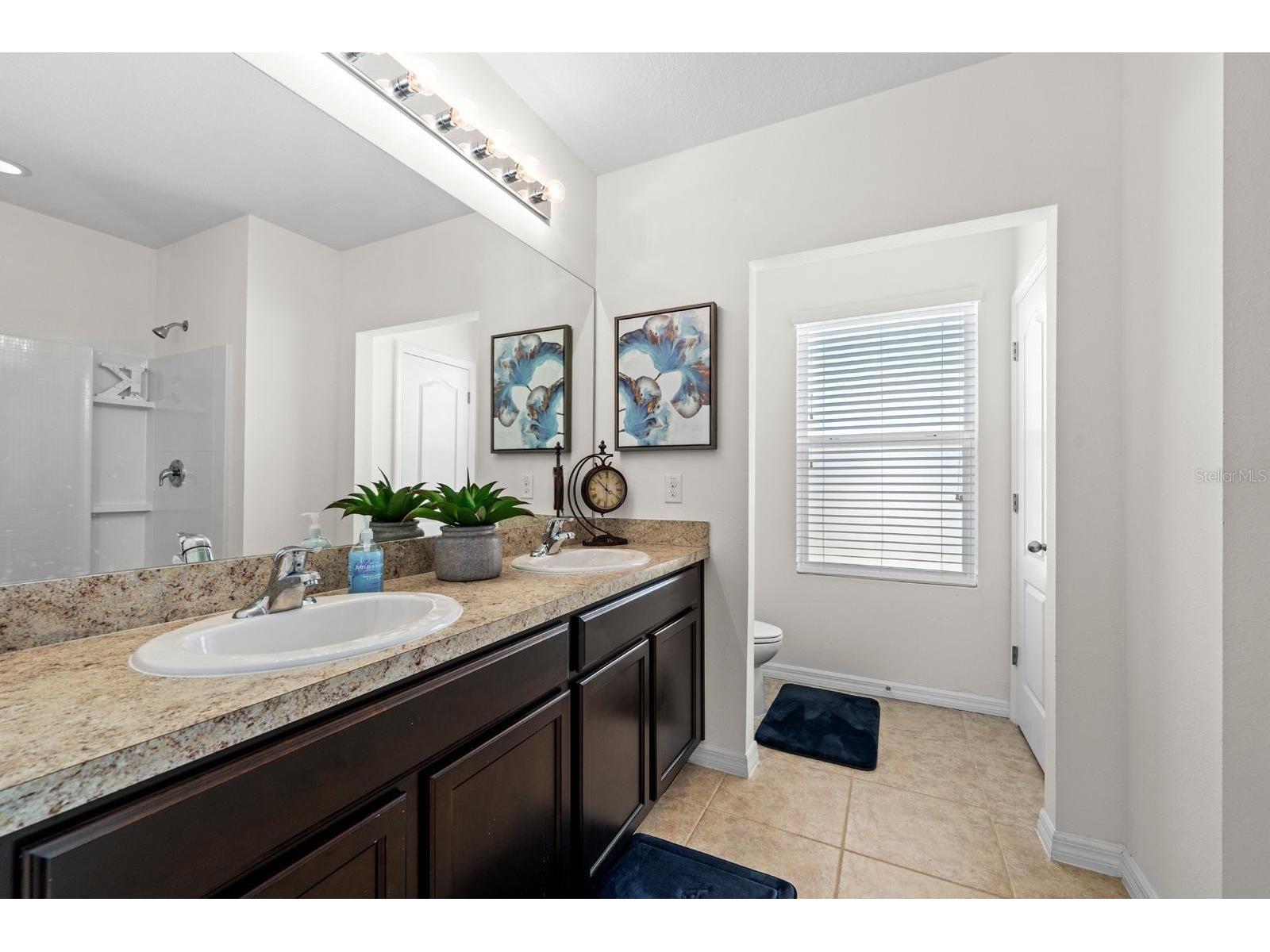 824 Ashentree Drive Plant City FL 33563 TB8502471 image12